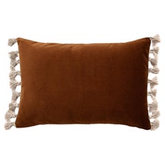Blush Brown Velvet Deluxe Handmade Decorative Throw Pillow