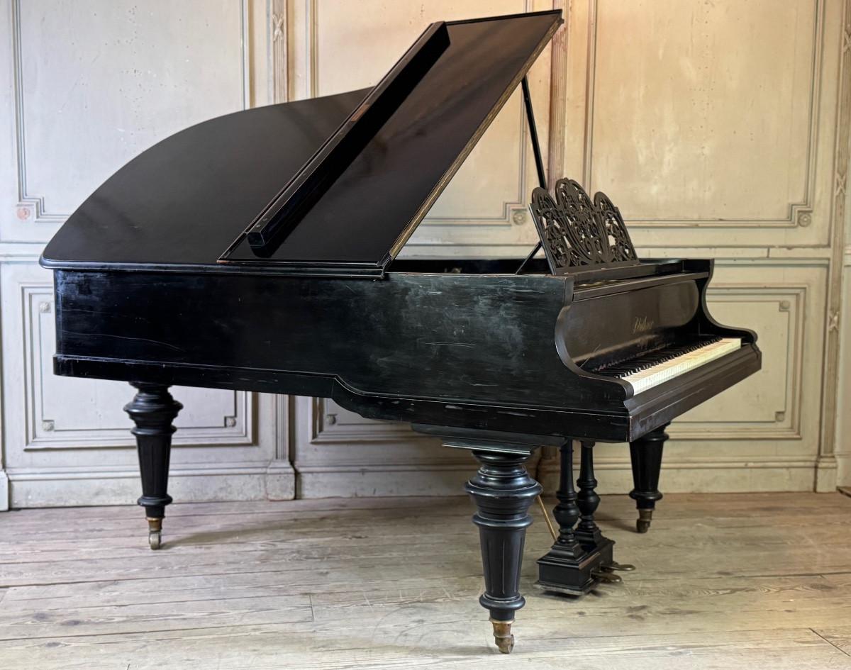 Bluthner Aliquot 1/2-tail piano, 1899, Leipzig For Sale 5