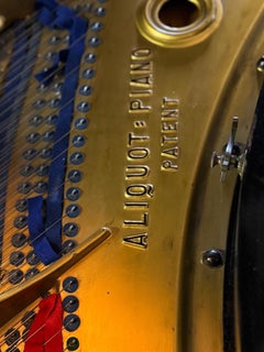 Bluthner Aliquot 1/2-tail piano, 1899, Leipzig