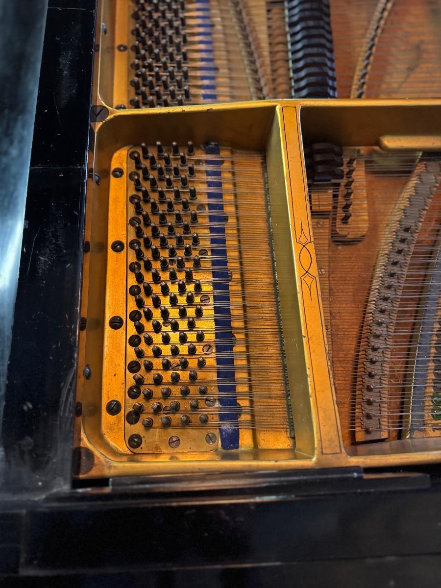 French Bluthner Aliquot 1/2-tail piano, 1899, Leipzig For Sale
