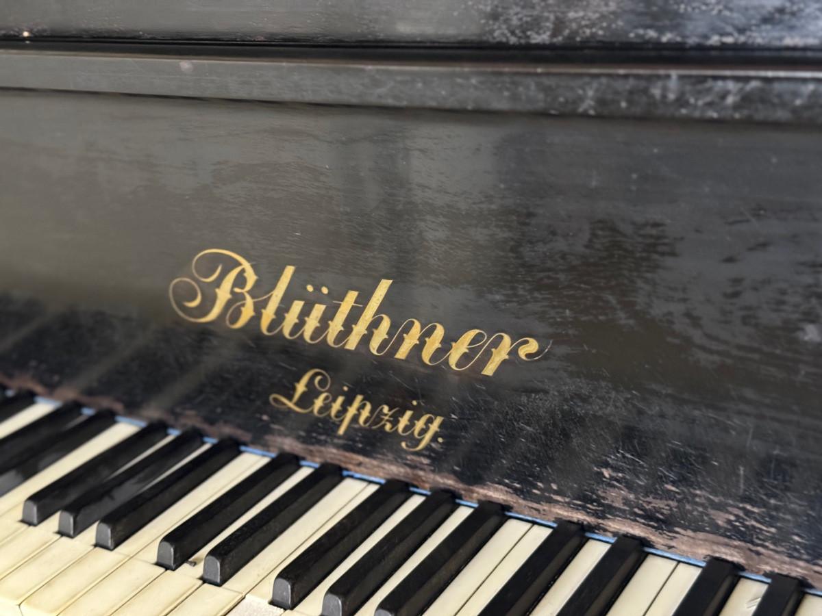 Bluthner Aliquot 1/2-tail piano, 1899, Leipzig For Sale 3