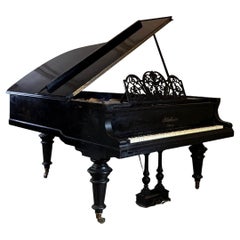 Piano Bluthner Aliquot de 1/2 cola, 1899, Leipzig