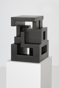 BN IV Dekorative Skulptur aus Holz und gemischten Medien von Michal Škoda
