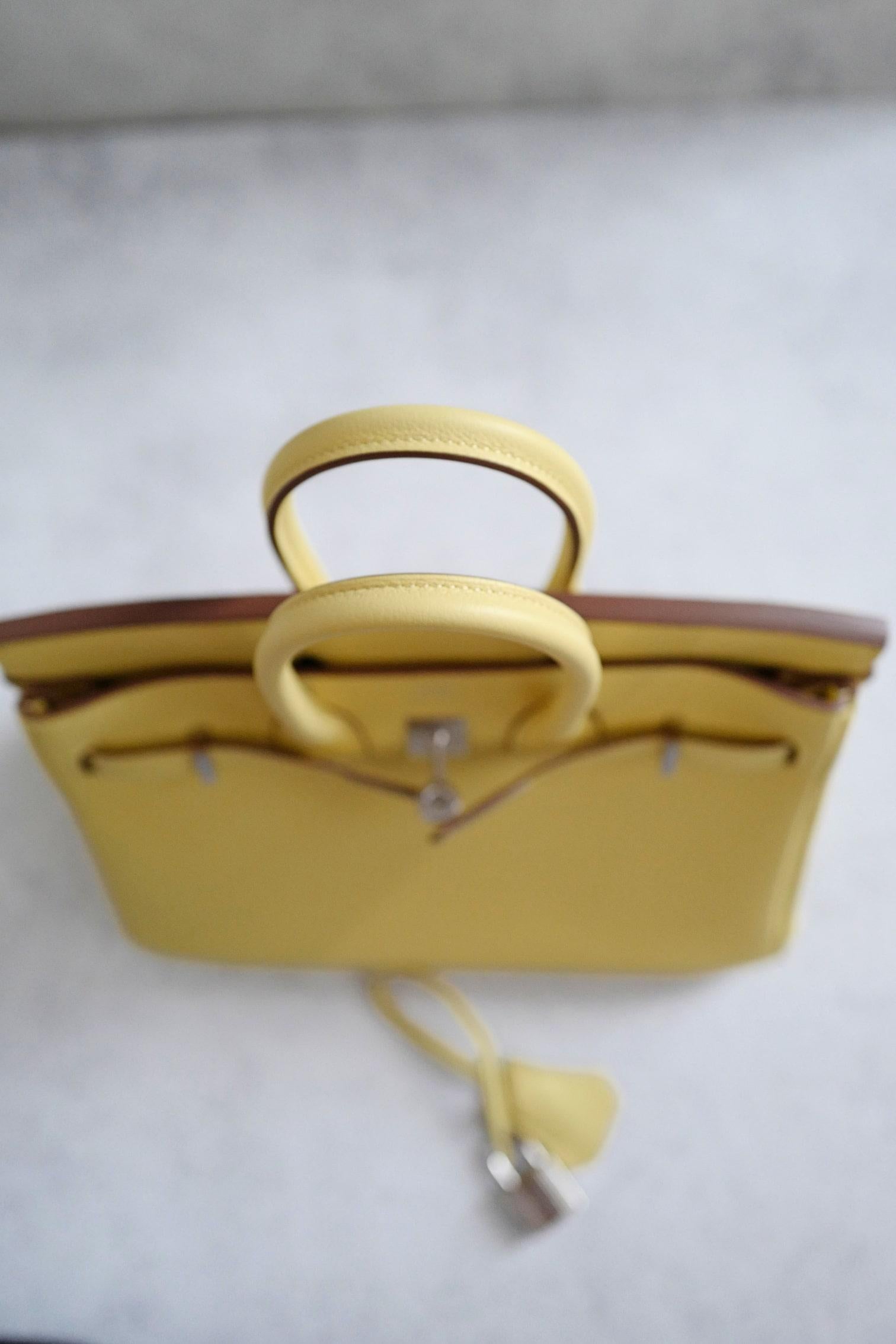 BNIB Hermès Birkin 25 Bag Jaune Poussin Togo Leather Palladium Hardware Stamp W en vente 11
