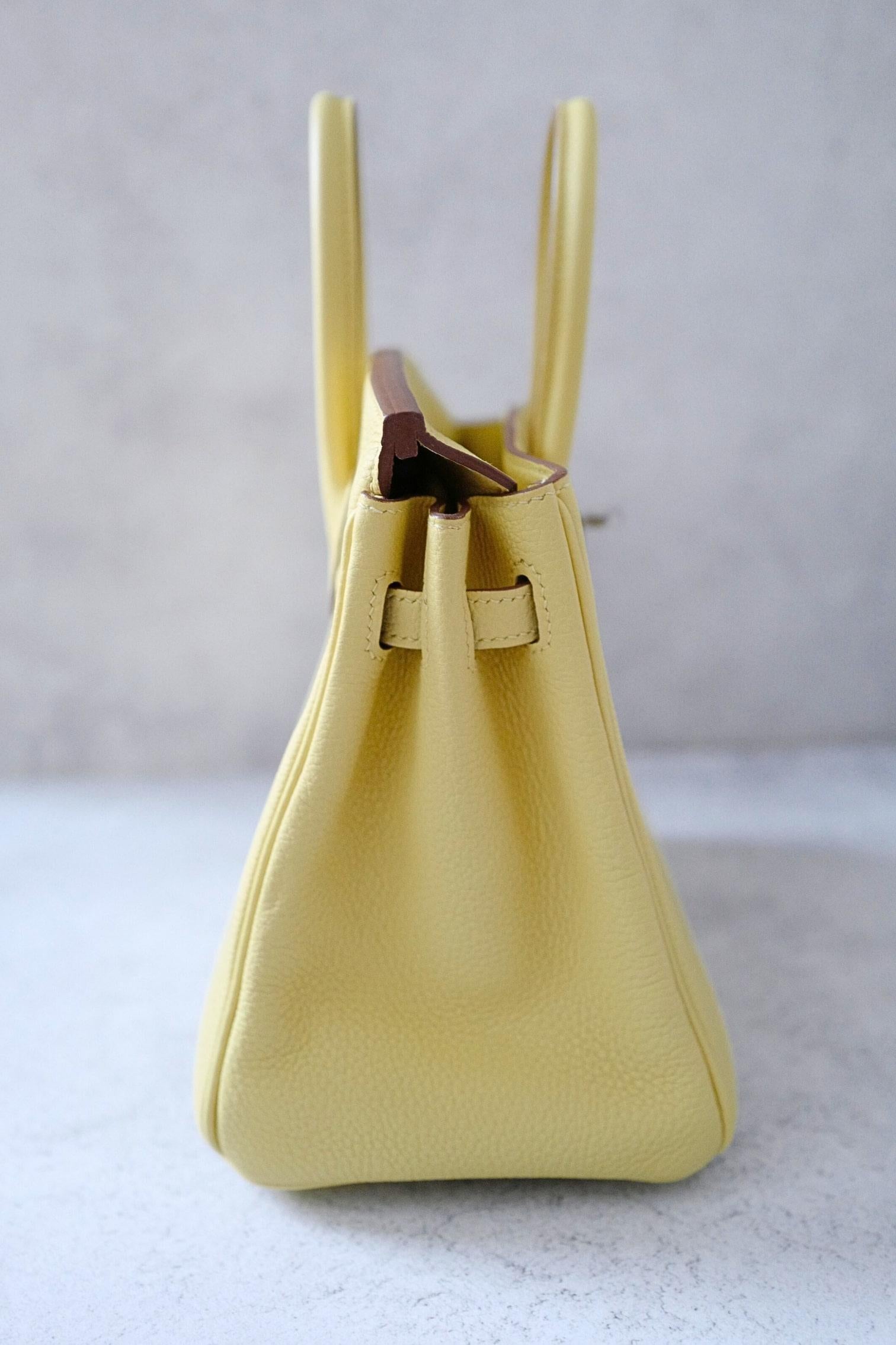 BNIB Hermès Birkin 25 Bag Jaune Poussin Togo Leather Palladium Hardware Stamp W en vente 1