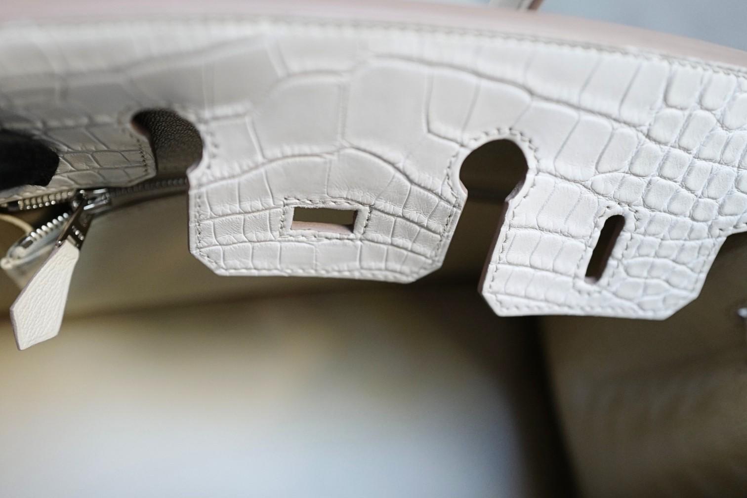 BNIB Hermès Birkin 25 Beton Matte Mississippiensis Alligatore PHW 2025 in vendita 9