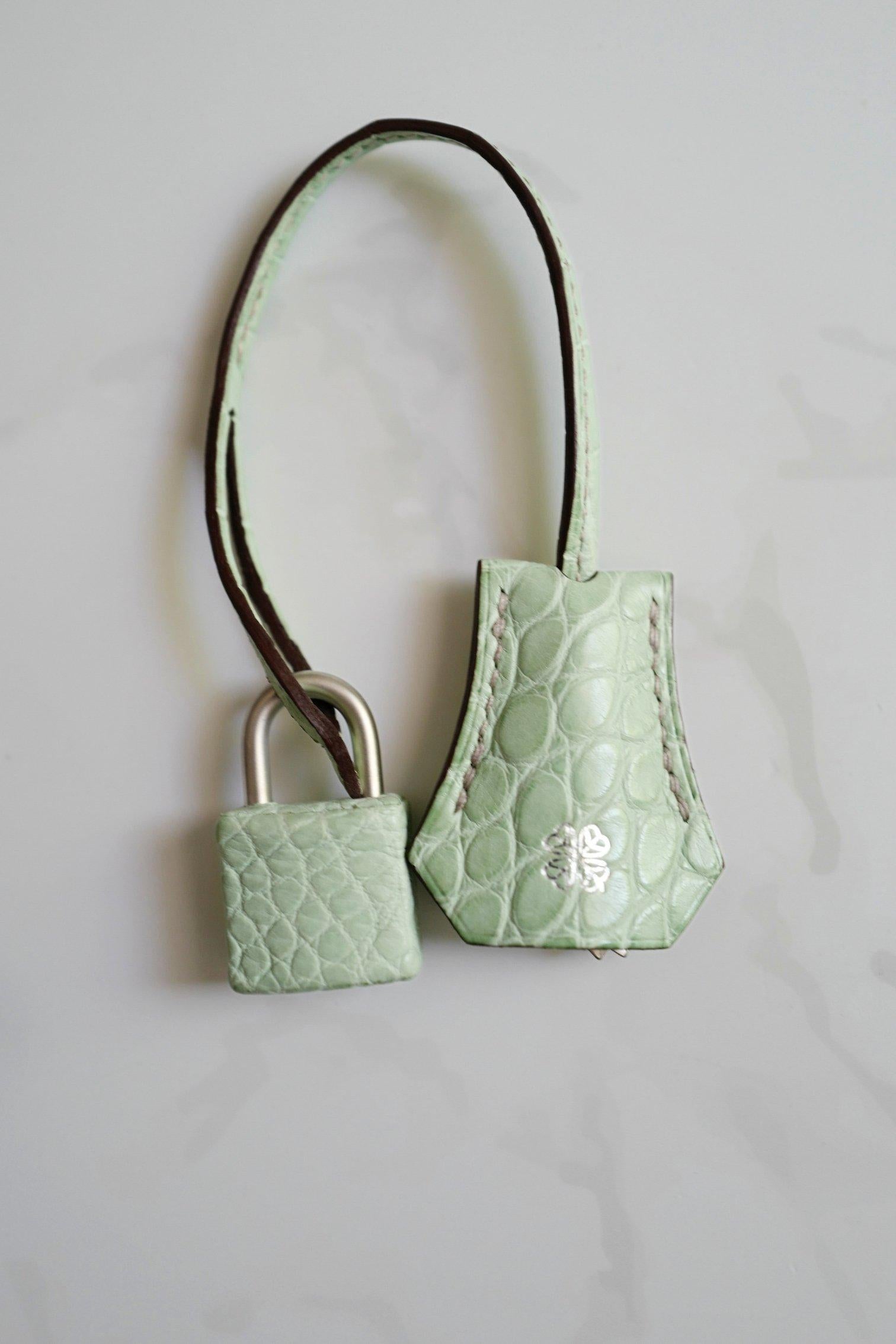 BNIB Hermes Birkin 25 HSS Gris Perle/Vert D’eau Matte Crocodile Brushed Palladiu en venta 14