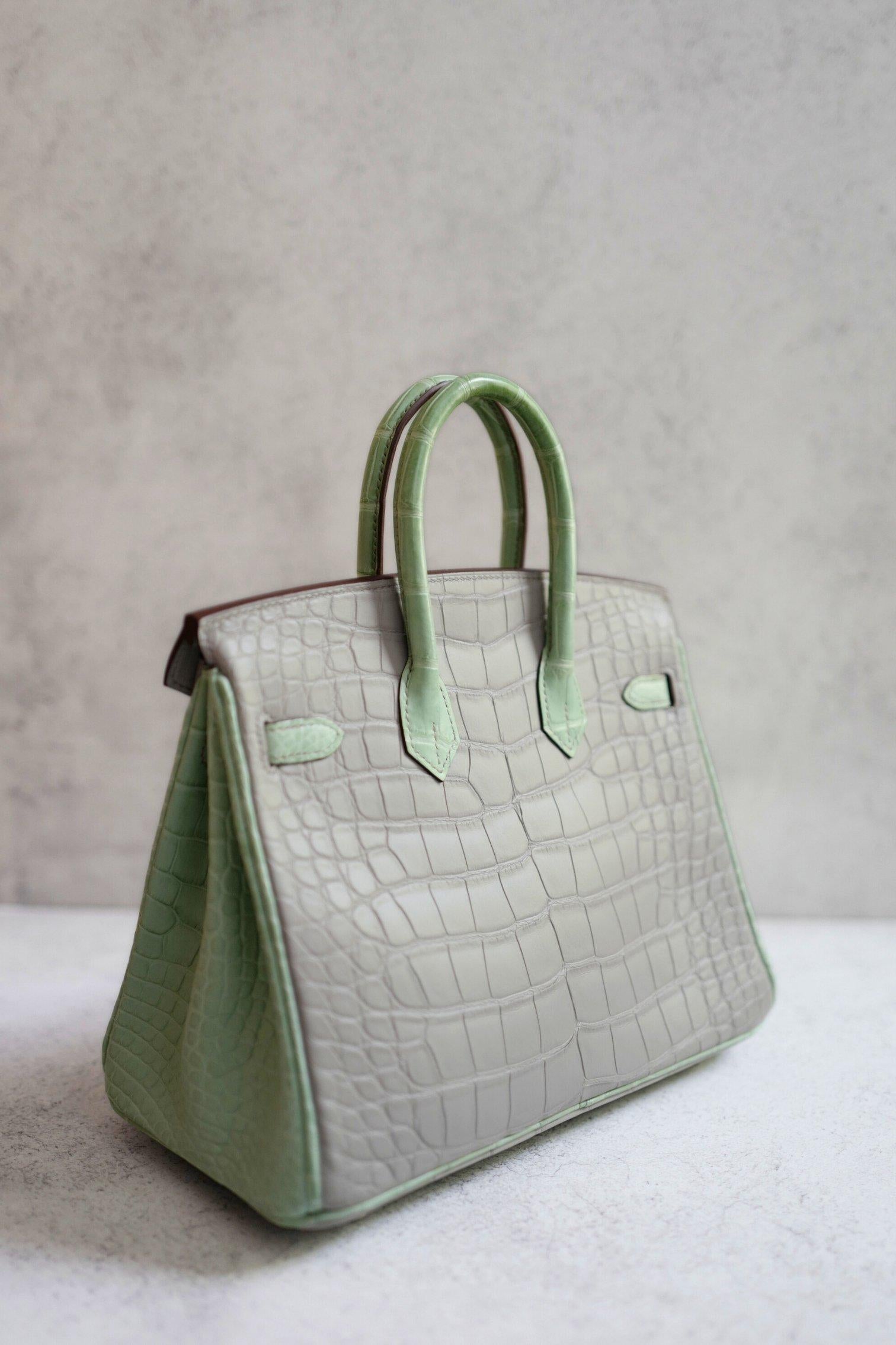 BNIB Hermes Birkin 25 HSS Gris Perle/Vert D’eau Matte Crocodile Brushed Palladiu en venta 3