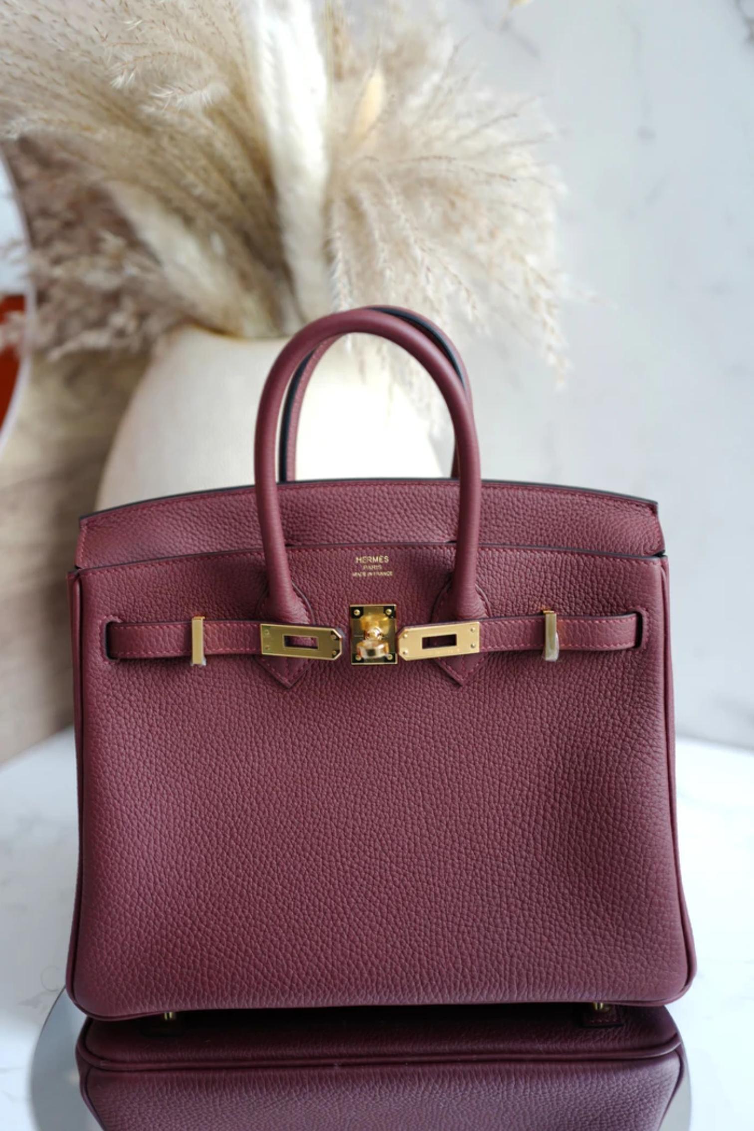 BNIB Hermes Birkin 25 Rouge H Togo Gold Hardware K For Sale 8
