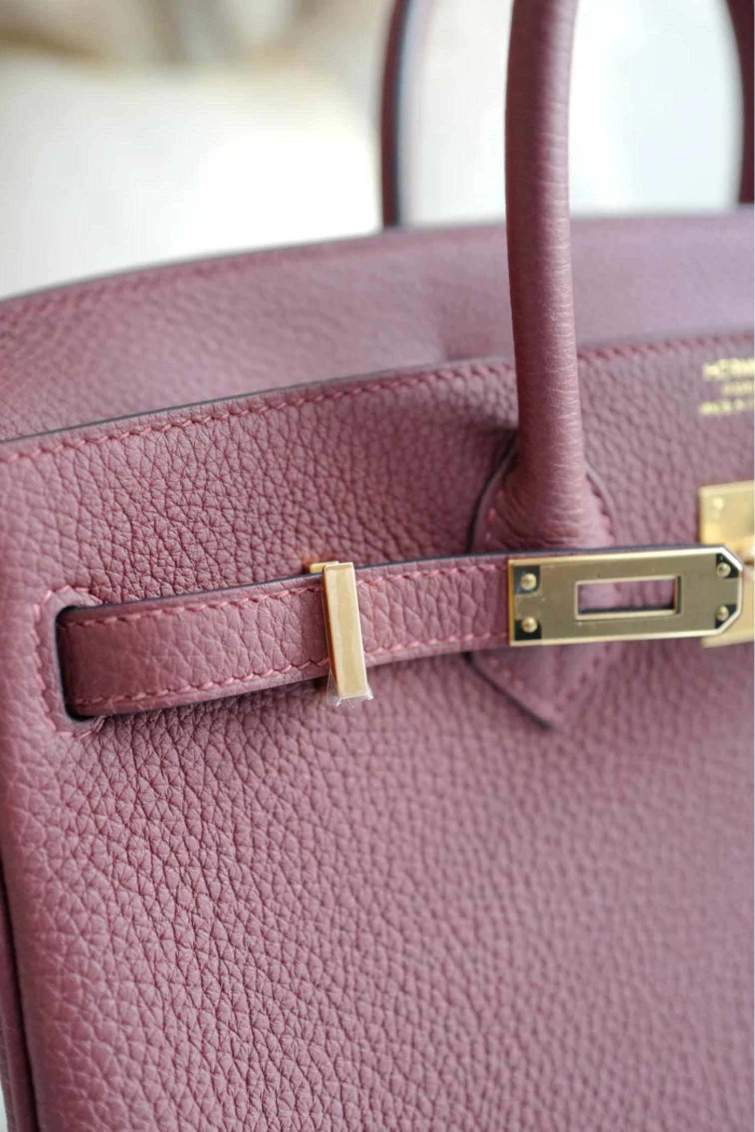 BNIB Hermes Birkin 25 Rouge H Togo Gold Hardware K For Sale 9