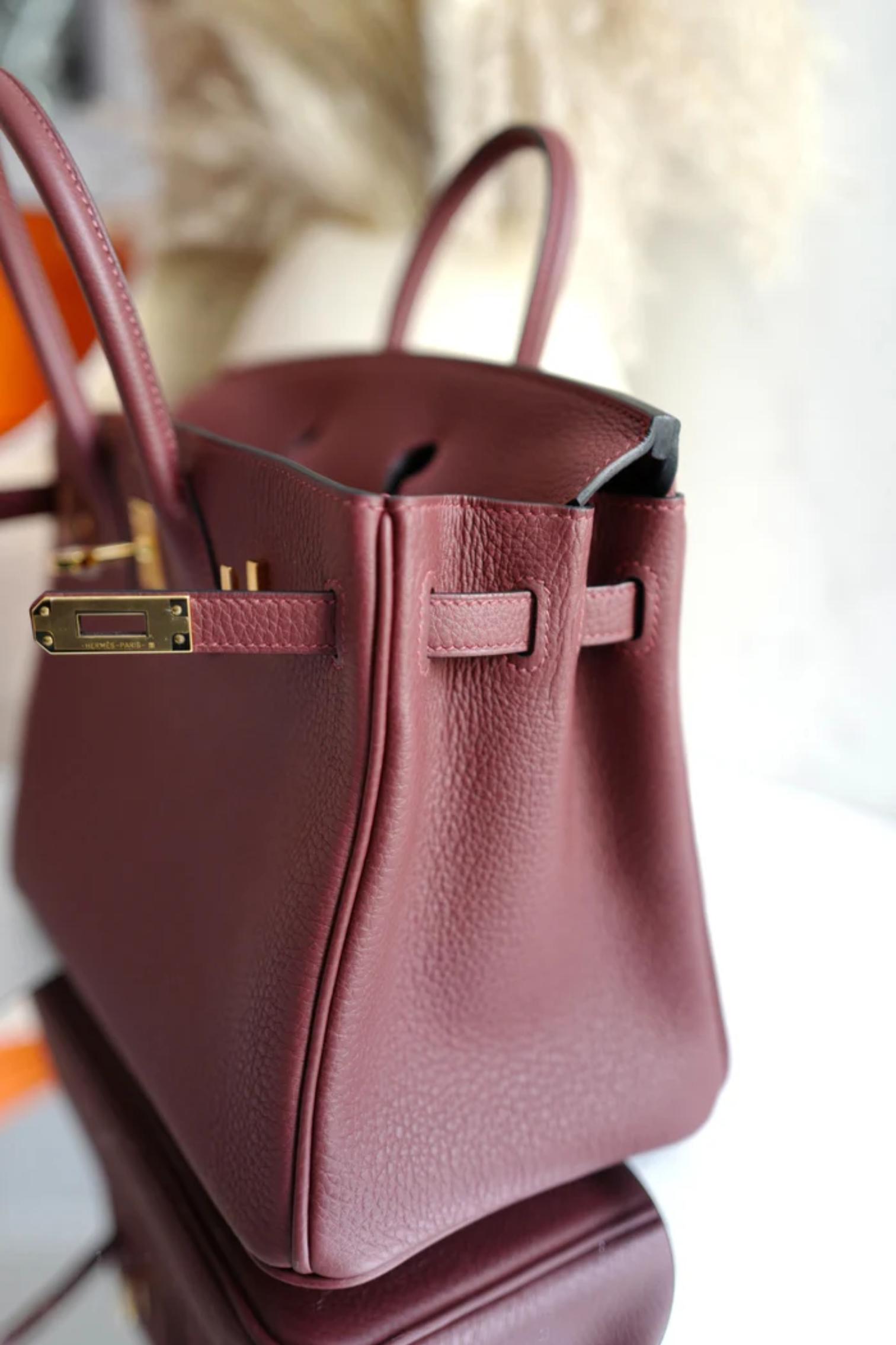 BNIB Hermes Birkin 25 Rouge H Togo Gold Hardware K For Sale 10