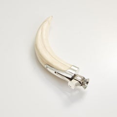 Boars Tusk Cigar Cutter Mounted in Sterling Silver Austria, circa 1910