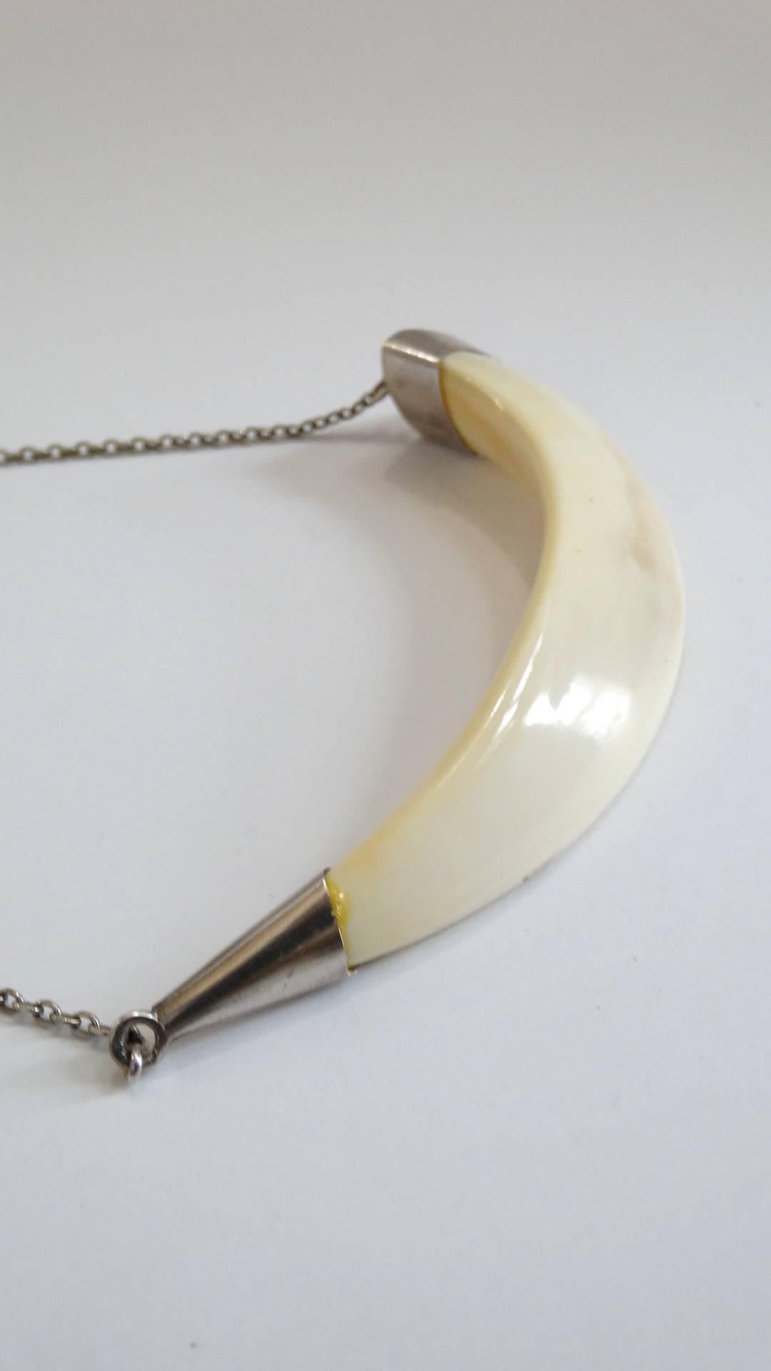 Boars Tusk Sterling Silver Necklace  3