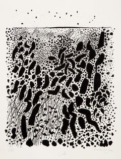 Colas de Gato de Nantucket Seriers, Serigrafía Minimalista de Bob Cato