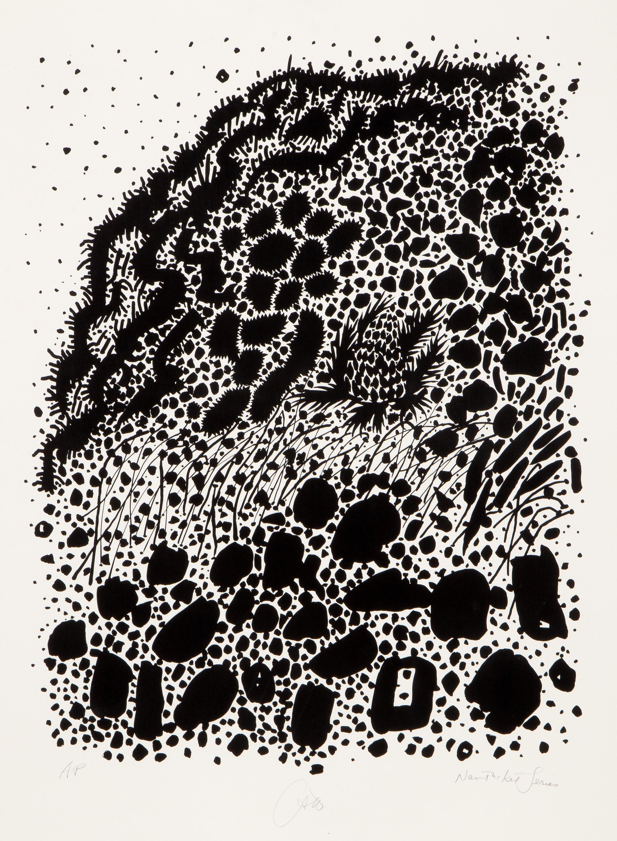 Tierra pantanosa de la serie Nantucket, serigrafía minimalista de Bob Cato