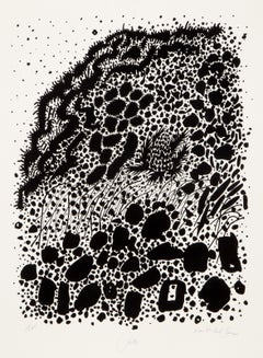 Tierra pantanosa de la serie Nantucket, serigrafía minimalista de Bob Cato