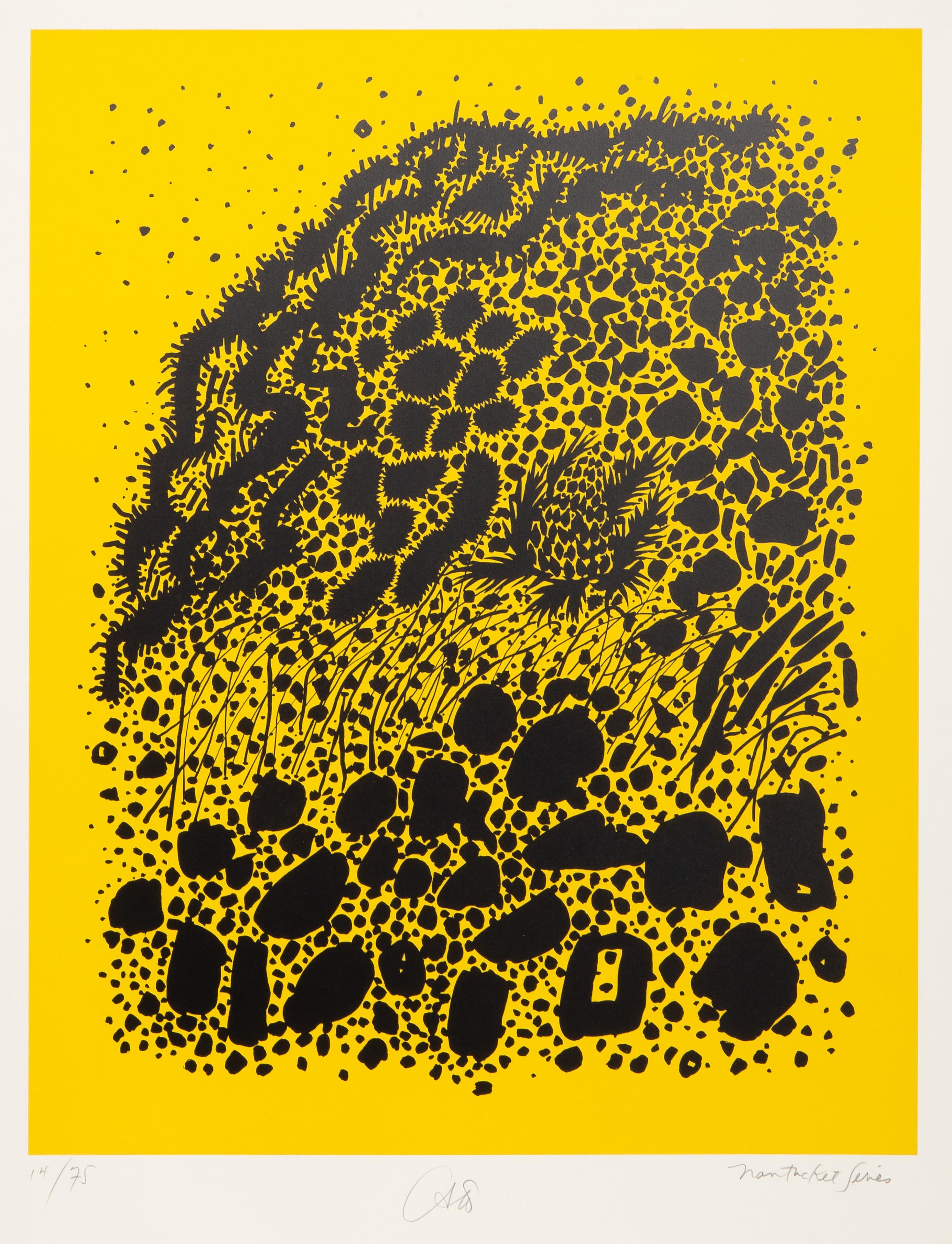 Landscape Print de Bob Cato  - Tierra pantanosa de la serie Nantucket (amarillo), serigrafía moderna de Bob Cato