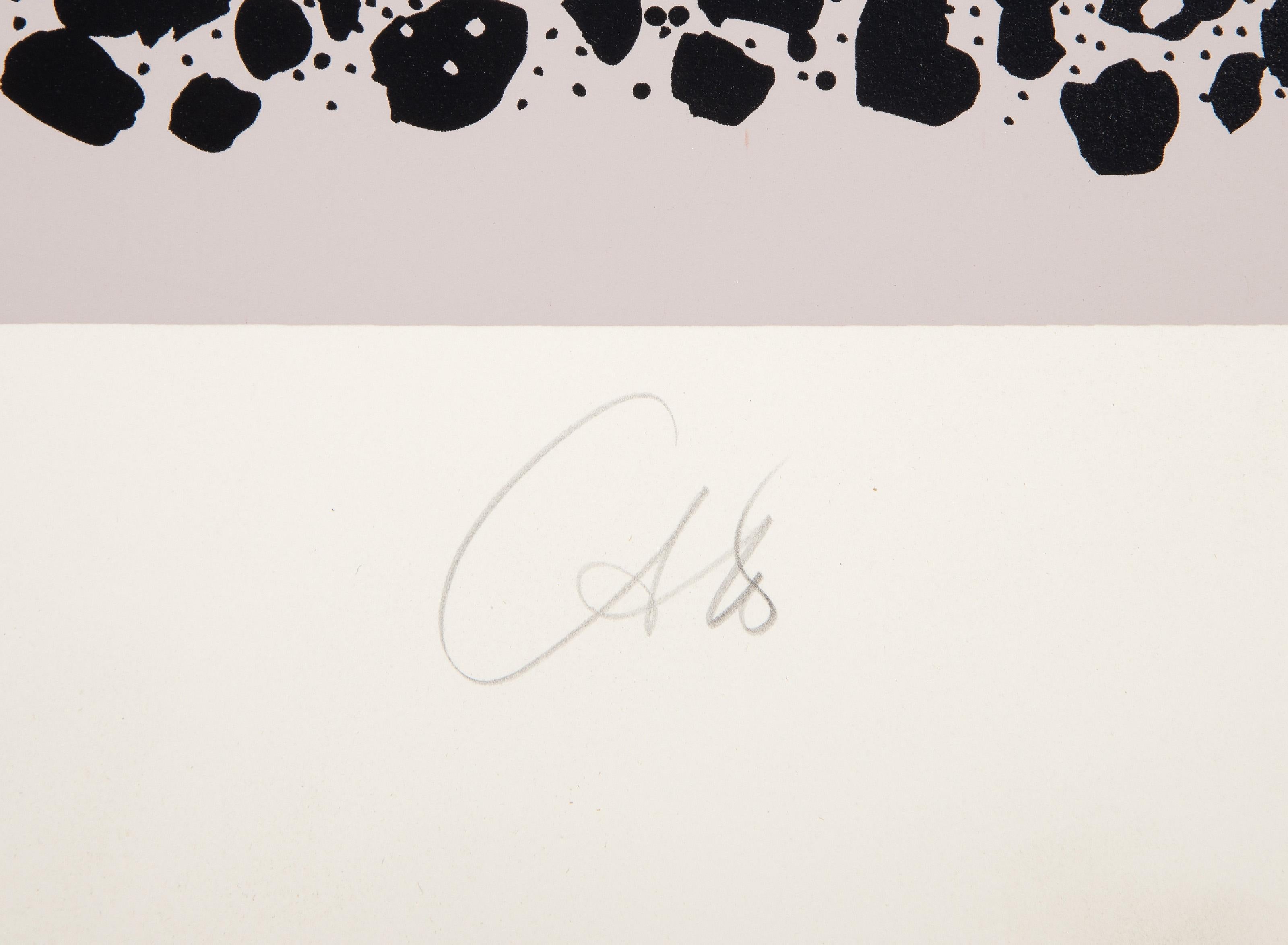 Still Life from the Nantucket Series (Silver), Modern Screenprint by Bob Cato - Gray Landscape Print by Bob Cato 
