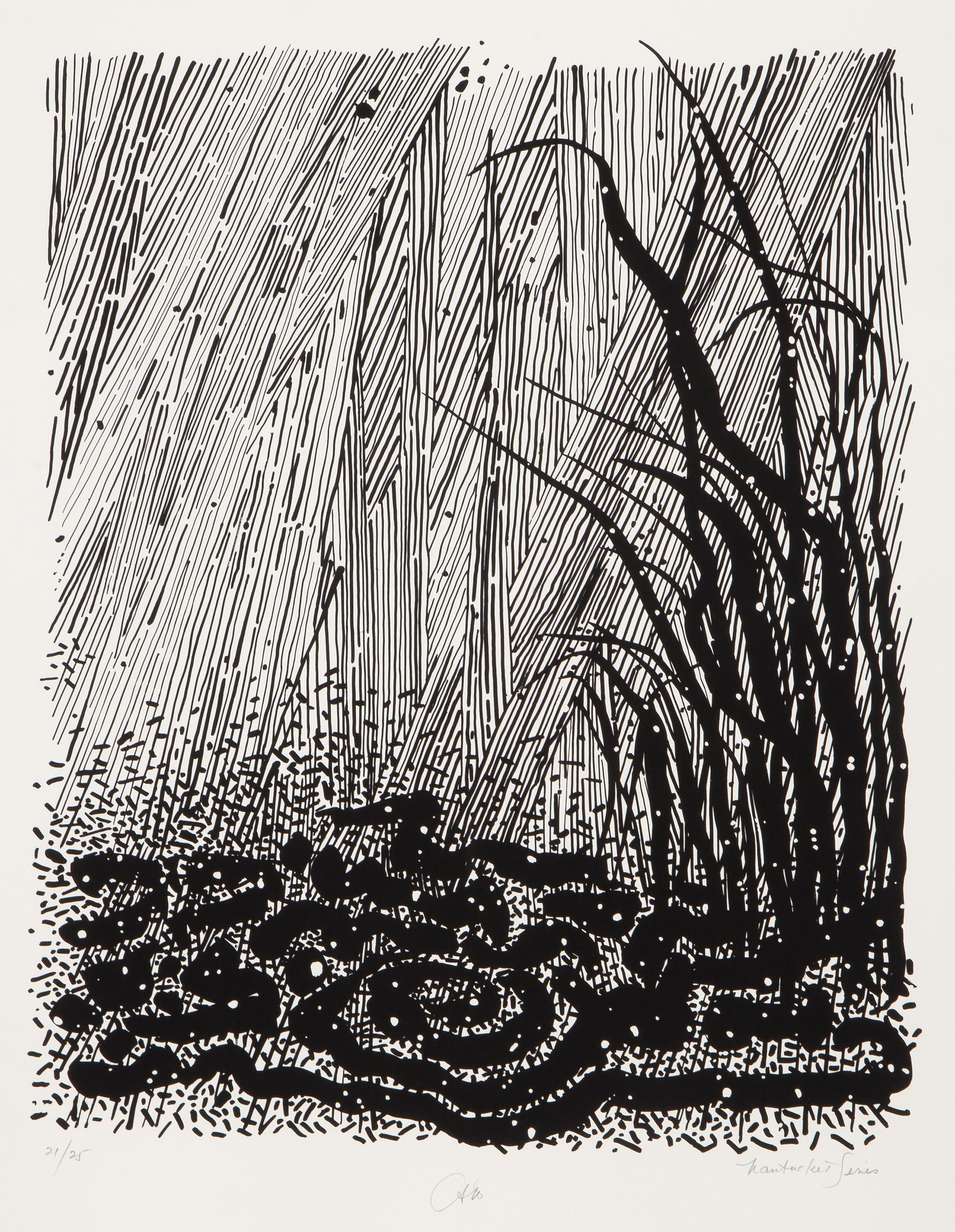 Bob Cato  Landscape Print - Tall Grass from the Nantucket Series (B&W), Modern Screenprint by Bob Cato