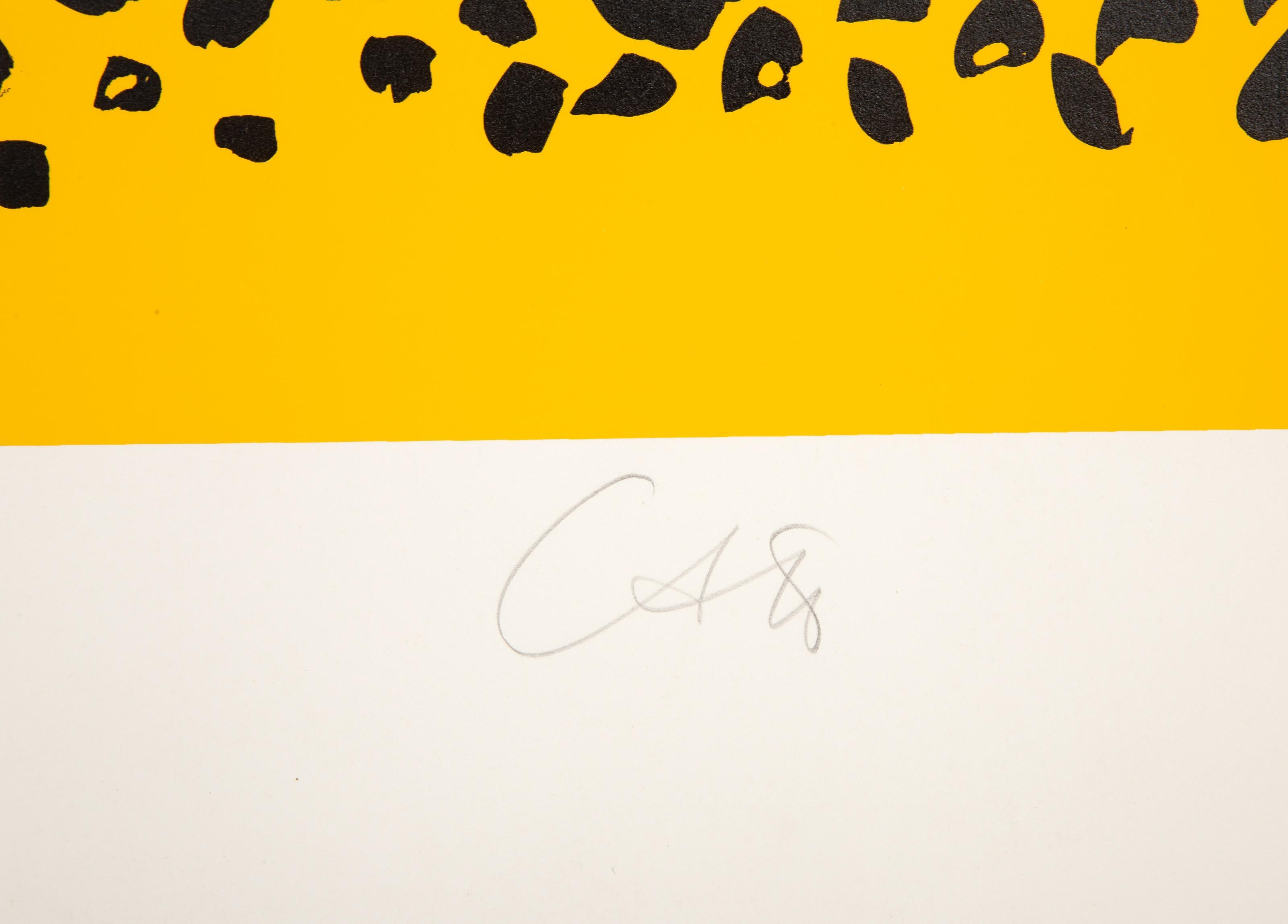  Bob Cato, American (1923 - 1999) -  White Fish From the Nantucket Series (Yellow), Year: circa 1970, Medium: Screenprint on Somerset, signed and numbered in pencil, Edition: 5/75, Image Size: 22.5 x 18 inches, Size: 29.75 x 22.5 in. (75.57 x 57.15