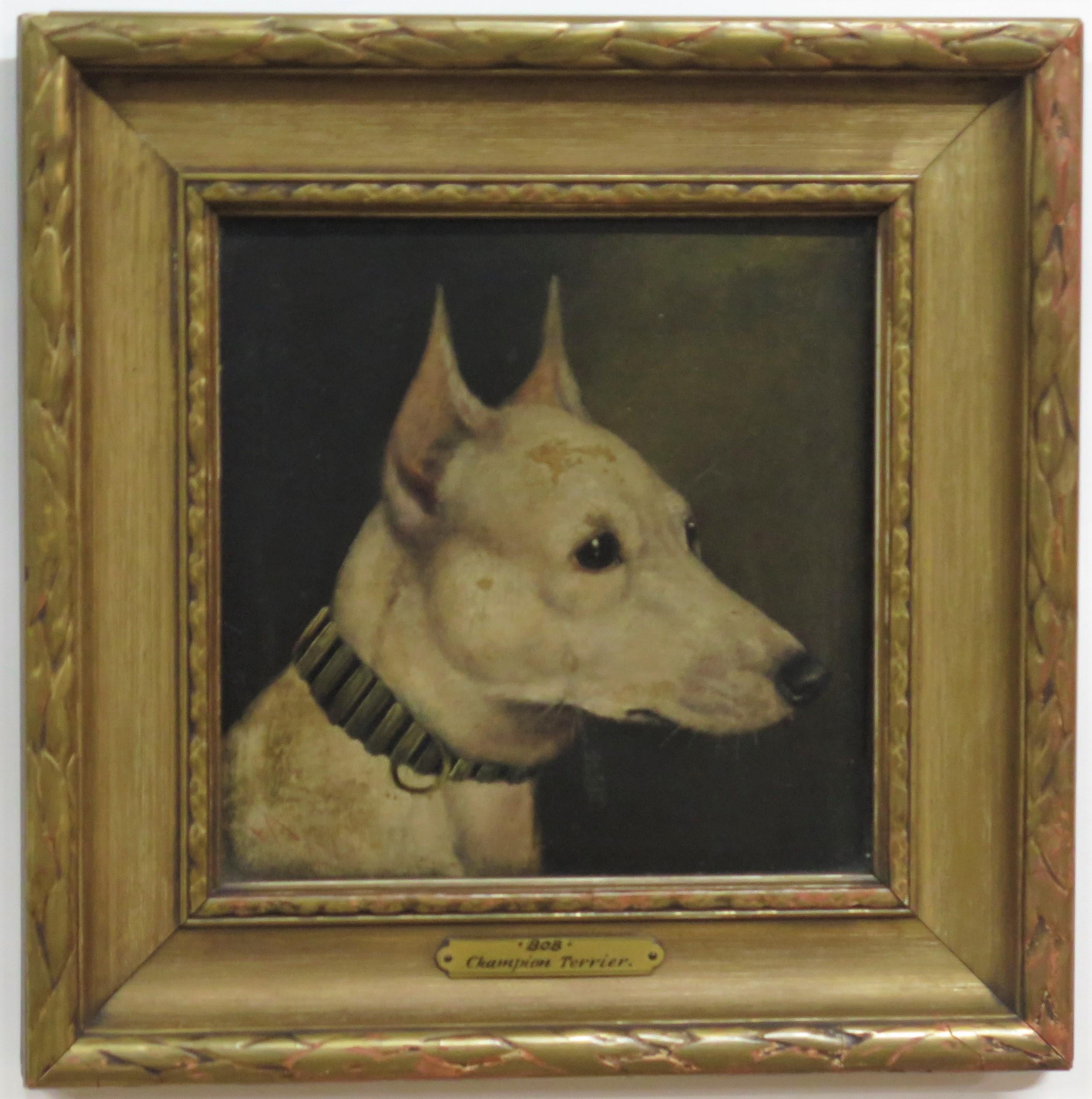 „Bob“ Champion Terrier von Edward Aistrop (England, 1880-1920) im Angebot 3