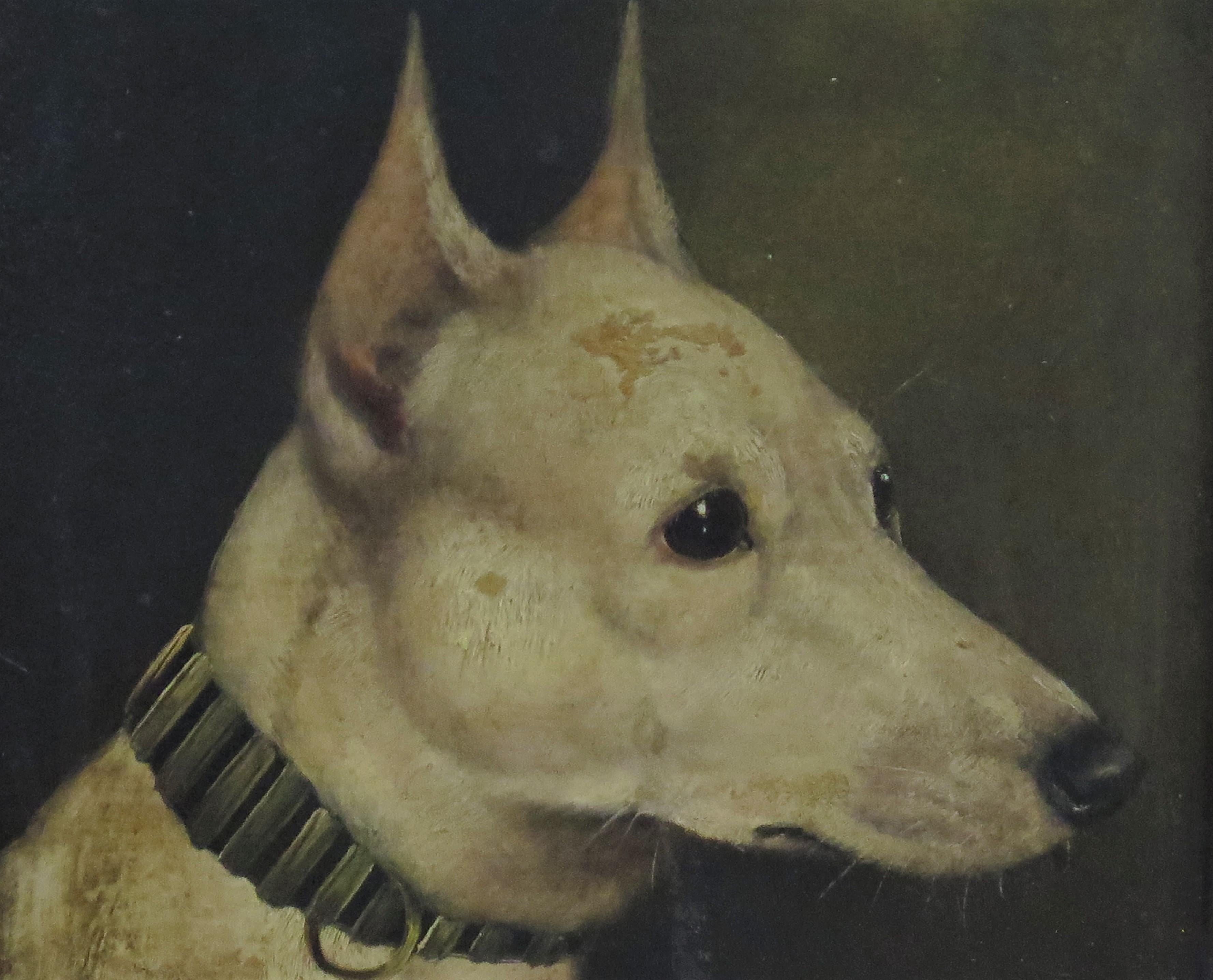 „Bob“ Champion Terrier von Edward Aistrop (England, 1880-1920) (Englisch) im Angebot