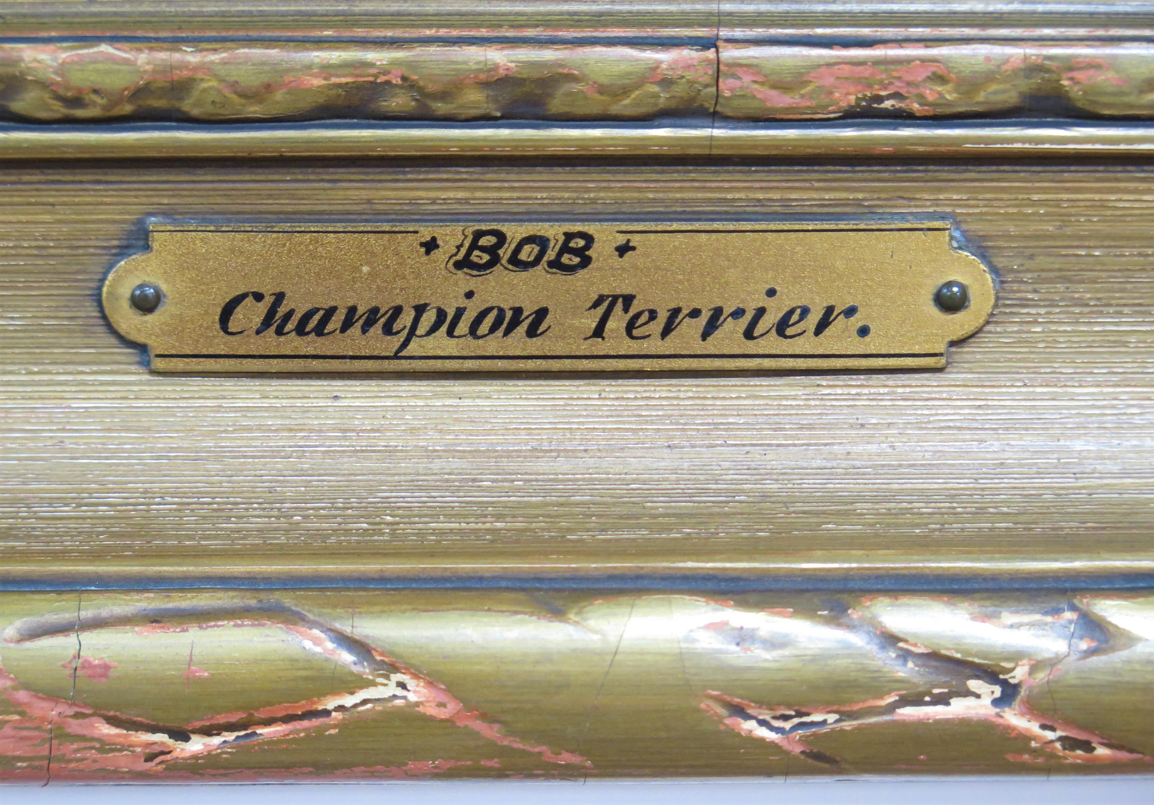 XIXe siècle Terrier de champion 