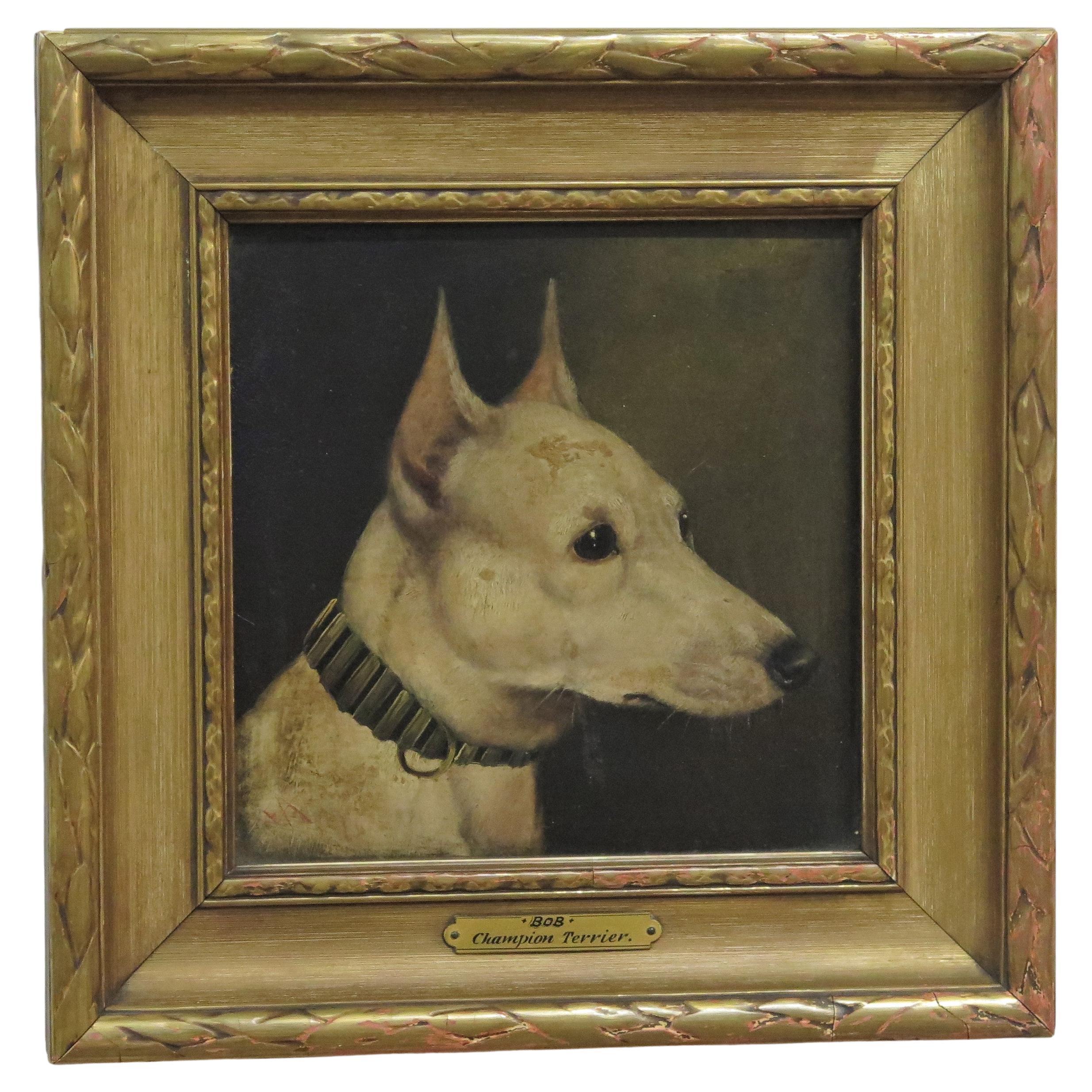 Terrier de champion "Bob" d'Edward Aistrop (Angleterre, 1880-1920)