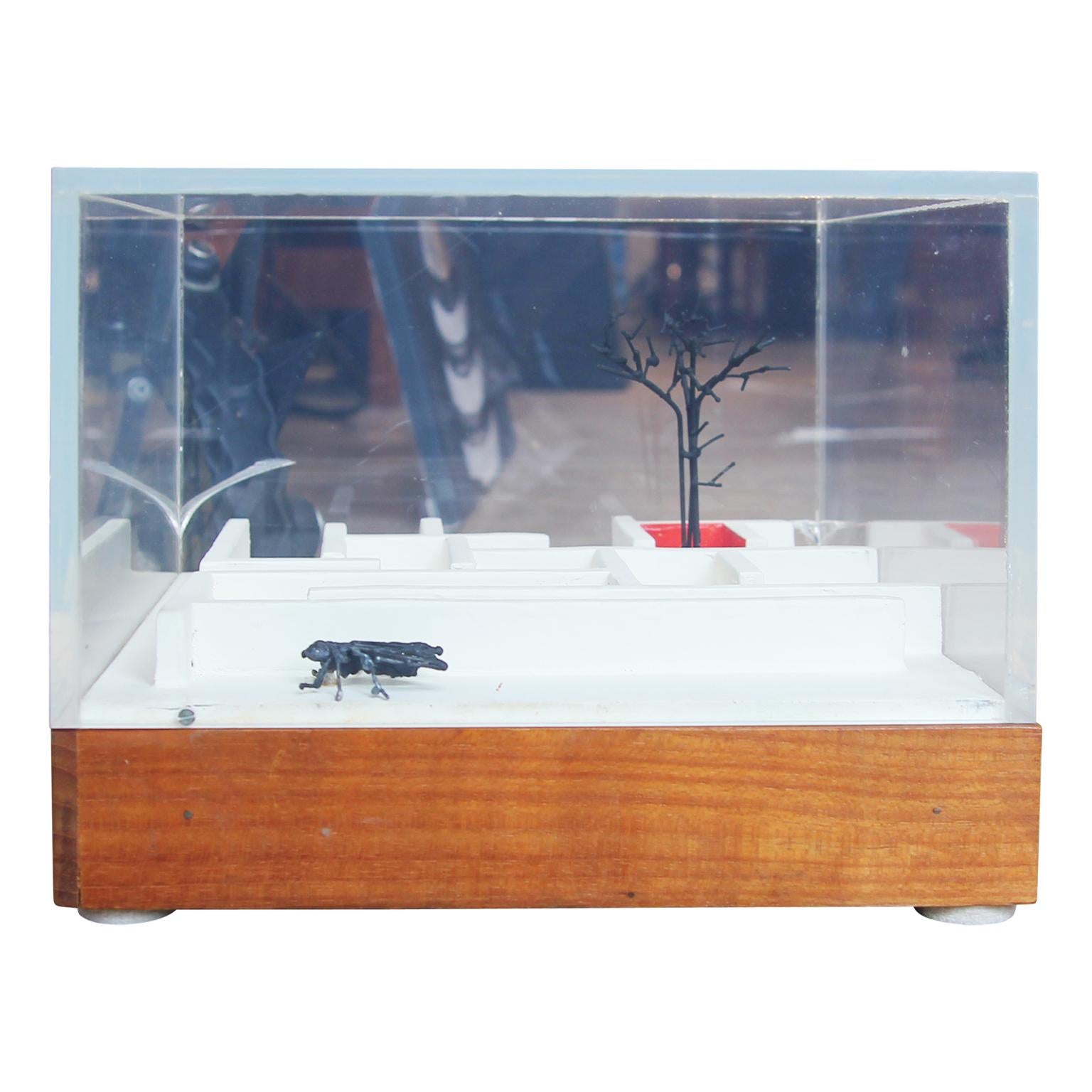 Modern Surrealist Mixed Media Fly & Tree Maze Sculpture with Lucite Case - Mixed Media Art by Bob Fowler
