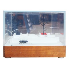 Modern Surrealist Mixed Media Fly & Tree Maze Sculpture with Lucite Case