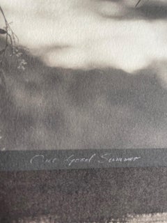 Una bella estate, alberi dall'aspetto vintage vicino al fiume