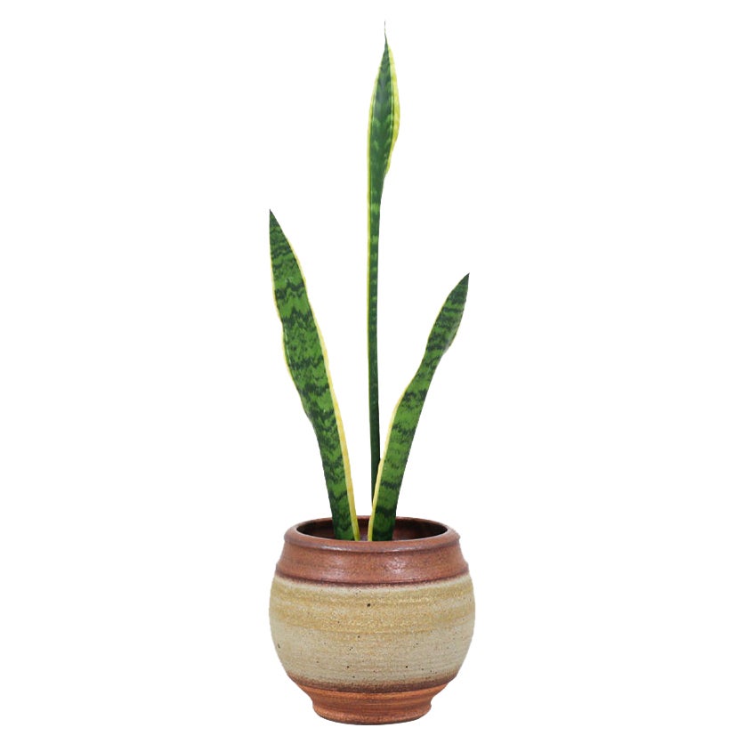 Bob Kinzie Stoneware Pottery Vase Planter for Affiliated Craftsmen