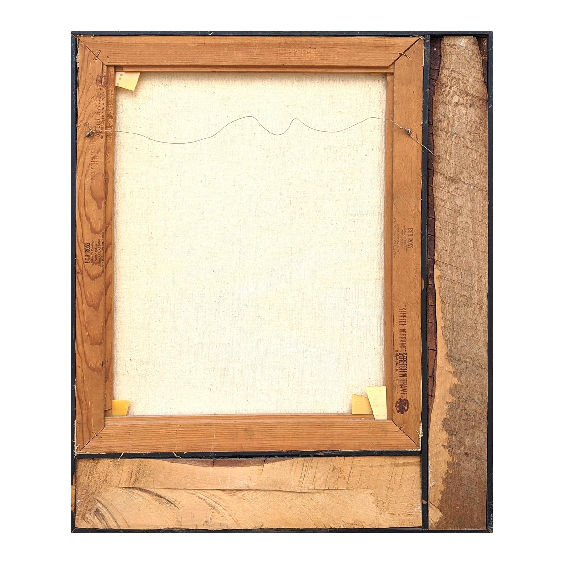 Quadro naturalistico blu dell'Alaska, paesaggio montano innevato con aurora boreale 6
