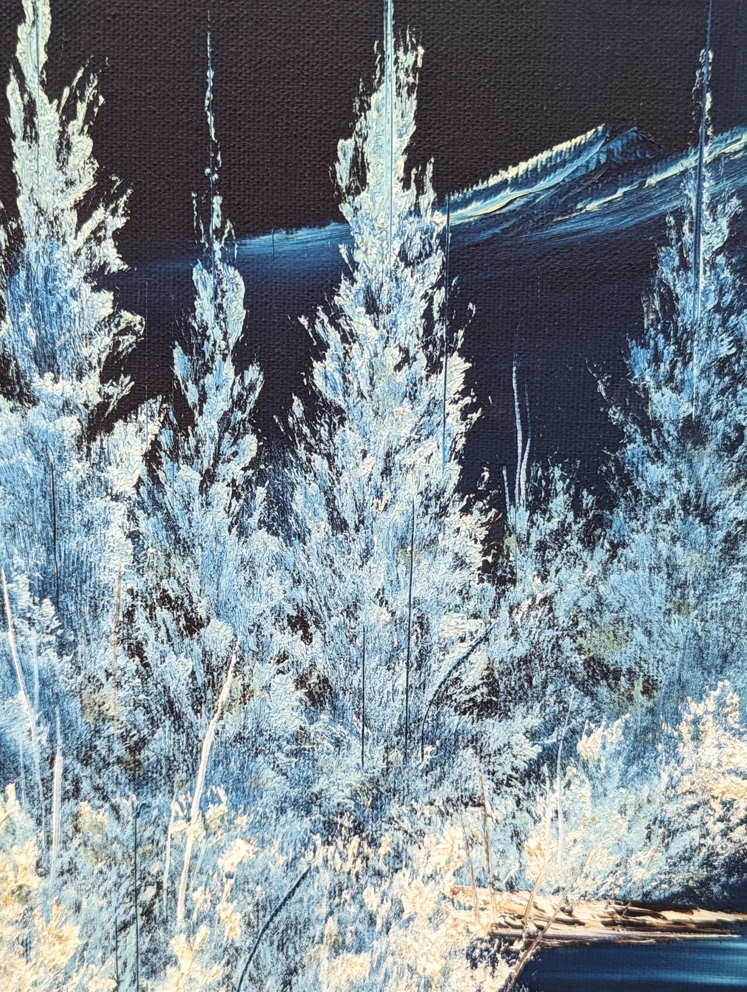 Quadro naturalistico blu dell'Alaska, paesaggio montano innevato con aurora boreale 3