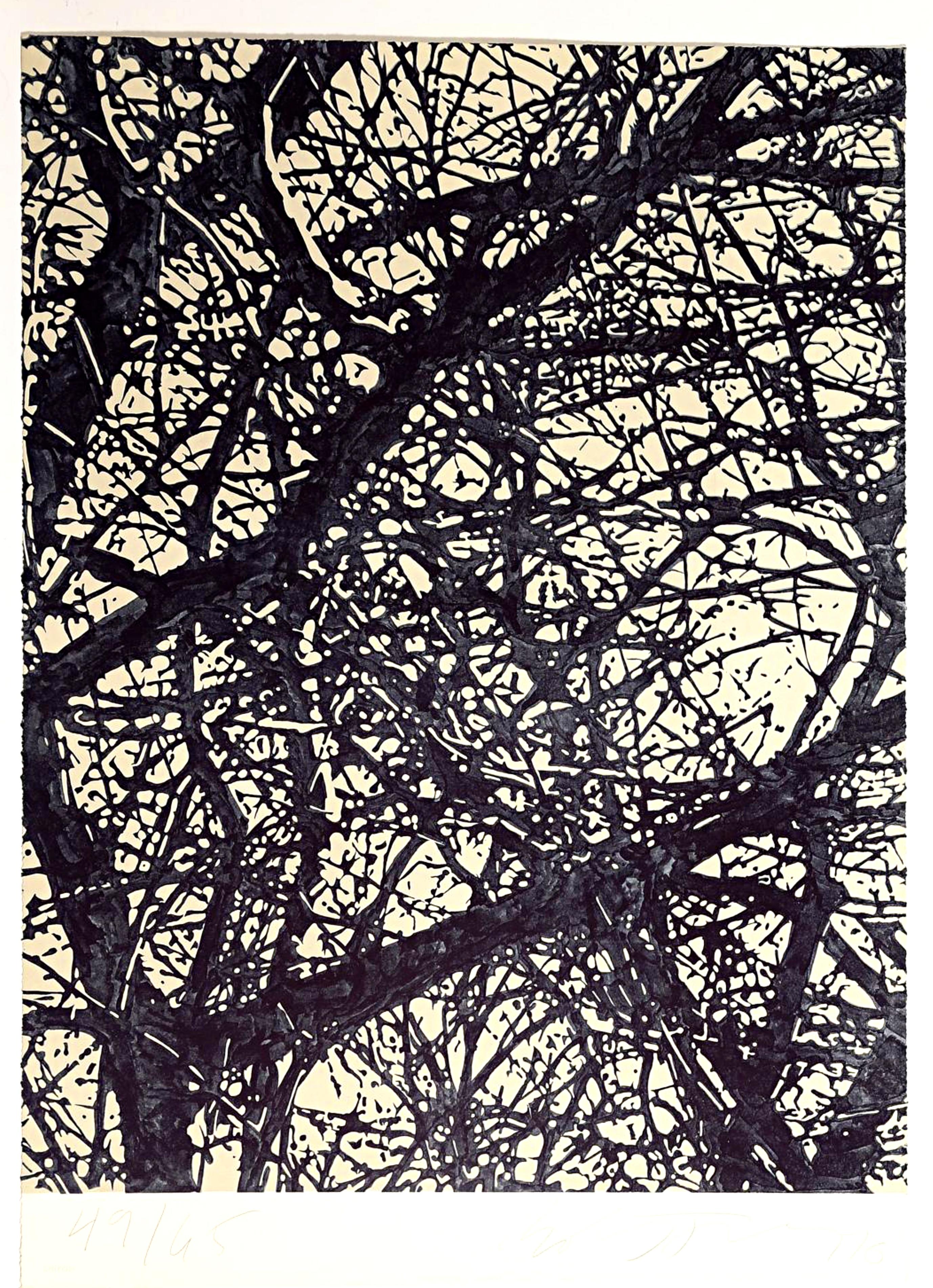 Bob Stanley
Branches, 1976
Etching on wove paper with full margins and deckled edges
31 1/2 × 22 1/2 inches
Pencil signed, dated and numbered from the limited edition of 65, with Chiron Press
s distinctive blind stamp
Printed by Steve Poleskie of