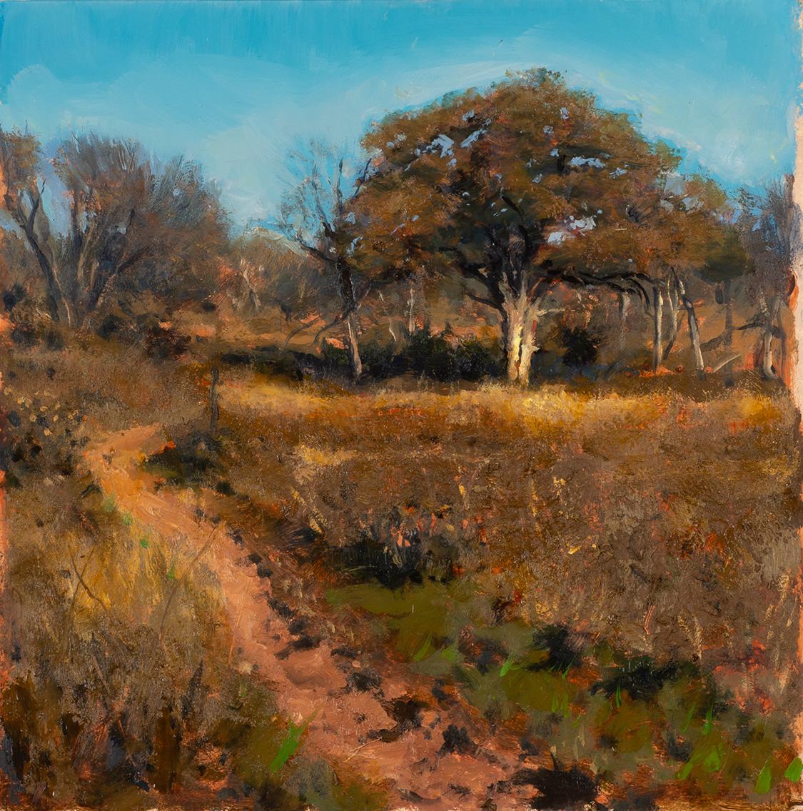 Bob Stuth-Wade Landscape Painting - Trail Between Thorns