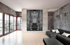 5447 - Edición 1/8 - puede ser horizontal o B/N - Diasec - Montado sobre plexiglás