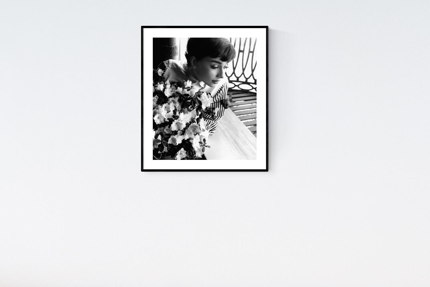 Audrey Hepburn, 1953  - Bob Willoughby (Porträtfotografie) im Angebot 1