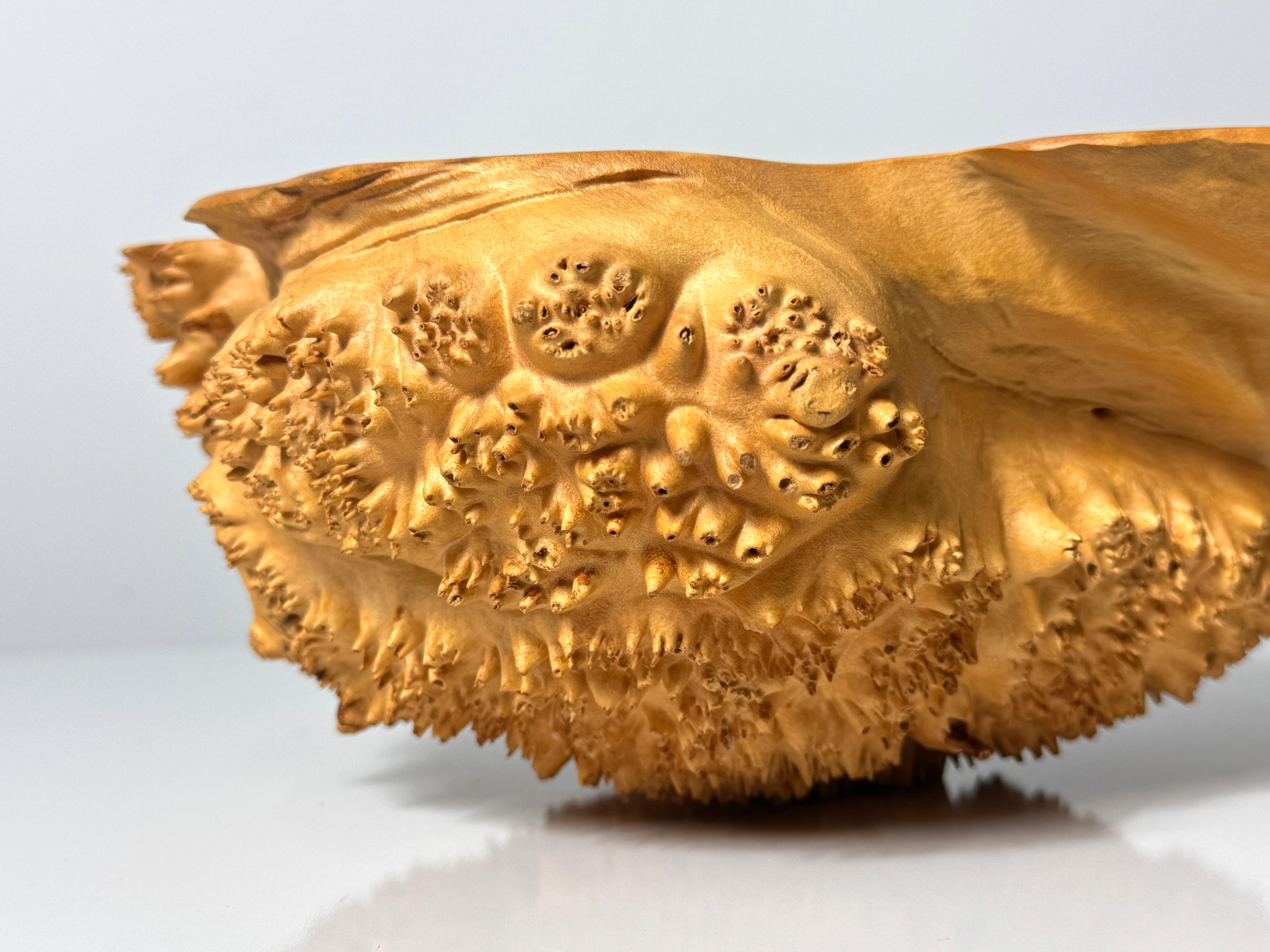 Bob Womack Live Edge Organic Maple Burl Decorative Freeform Centerpiece Bowl For Sale 3
