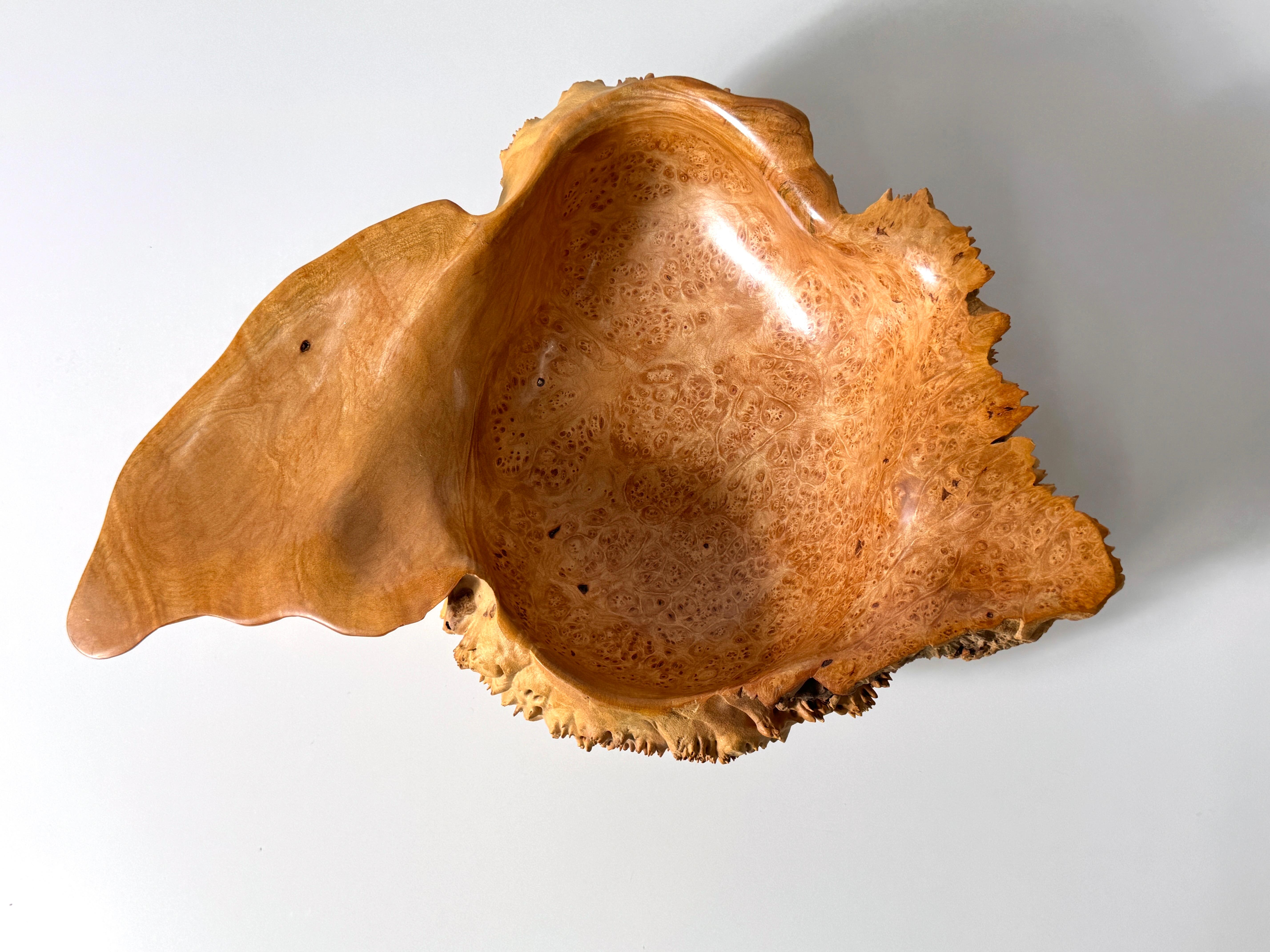 Organic Modern Bob Womack Live Edge Organic Maple Burl Decorative Freeform Centerpiece Bowl For Sale