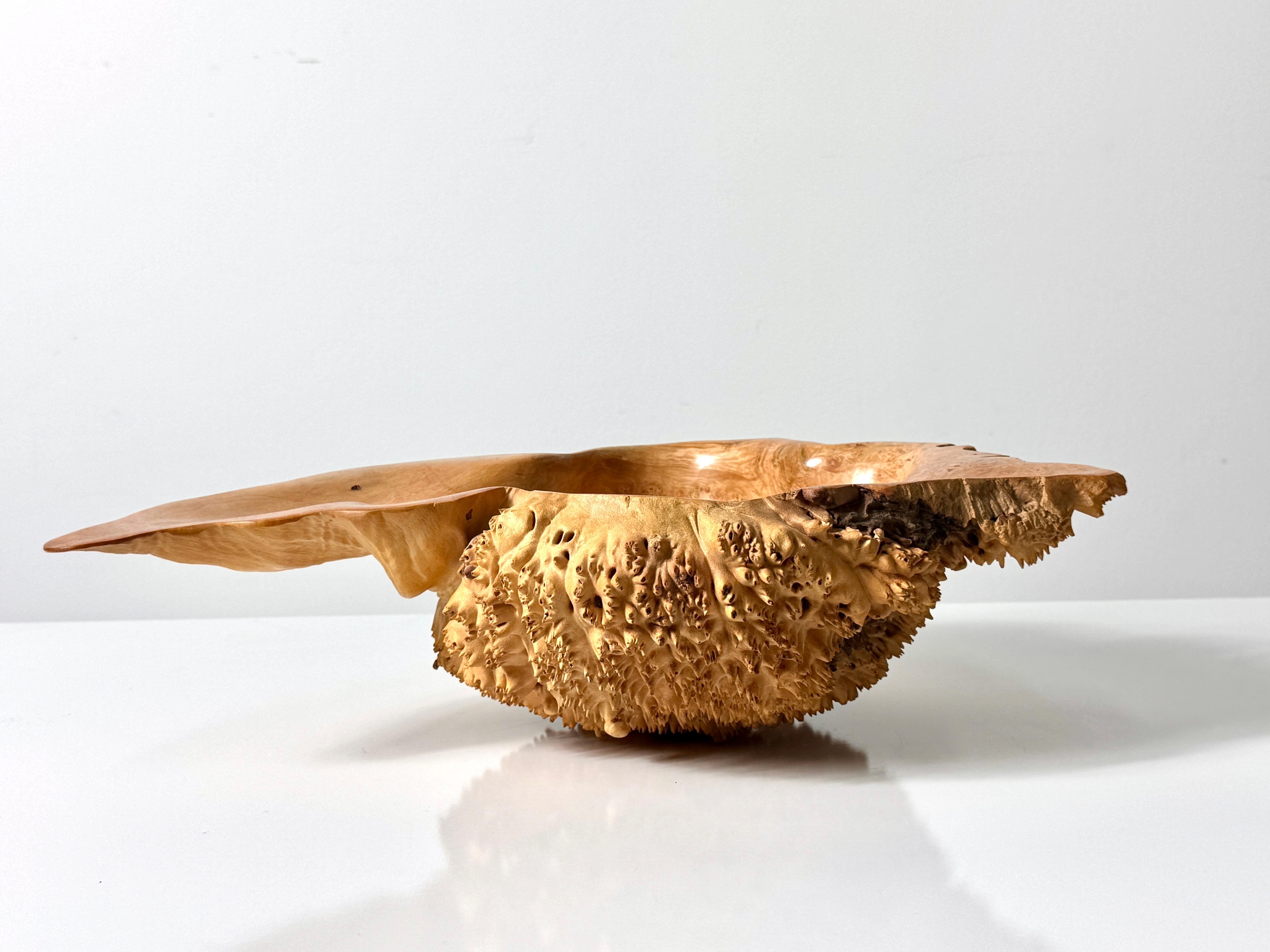 American Bob Womack Live Edge Organic Maple Burl Decorative Freeform Centerpiece Bowl For Sale