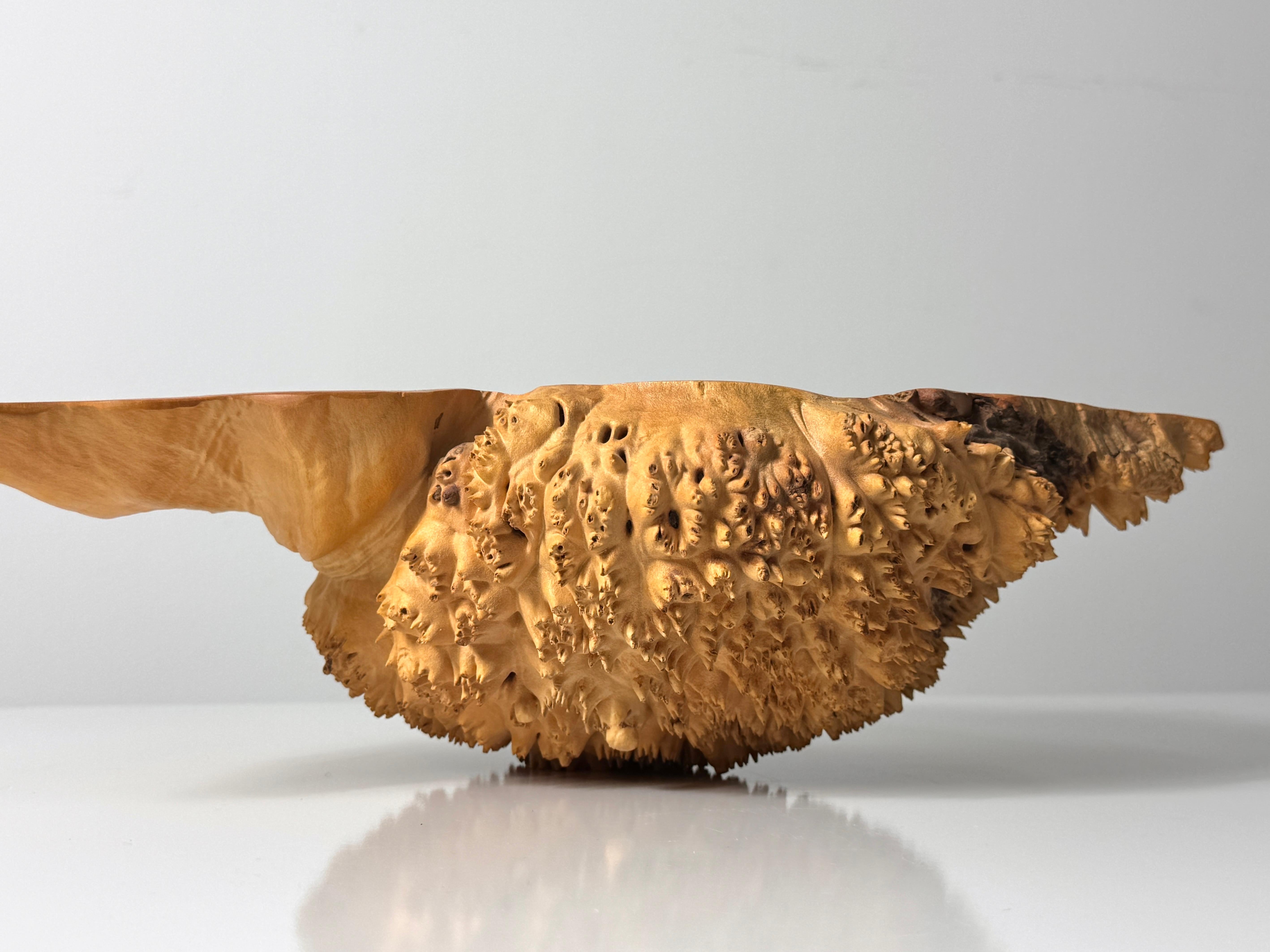 Hand-Crafted Bob Womack Live Edge Organic Maple Burl Decorative Freeform Centerpiece Bowl For Sale