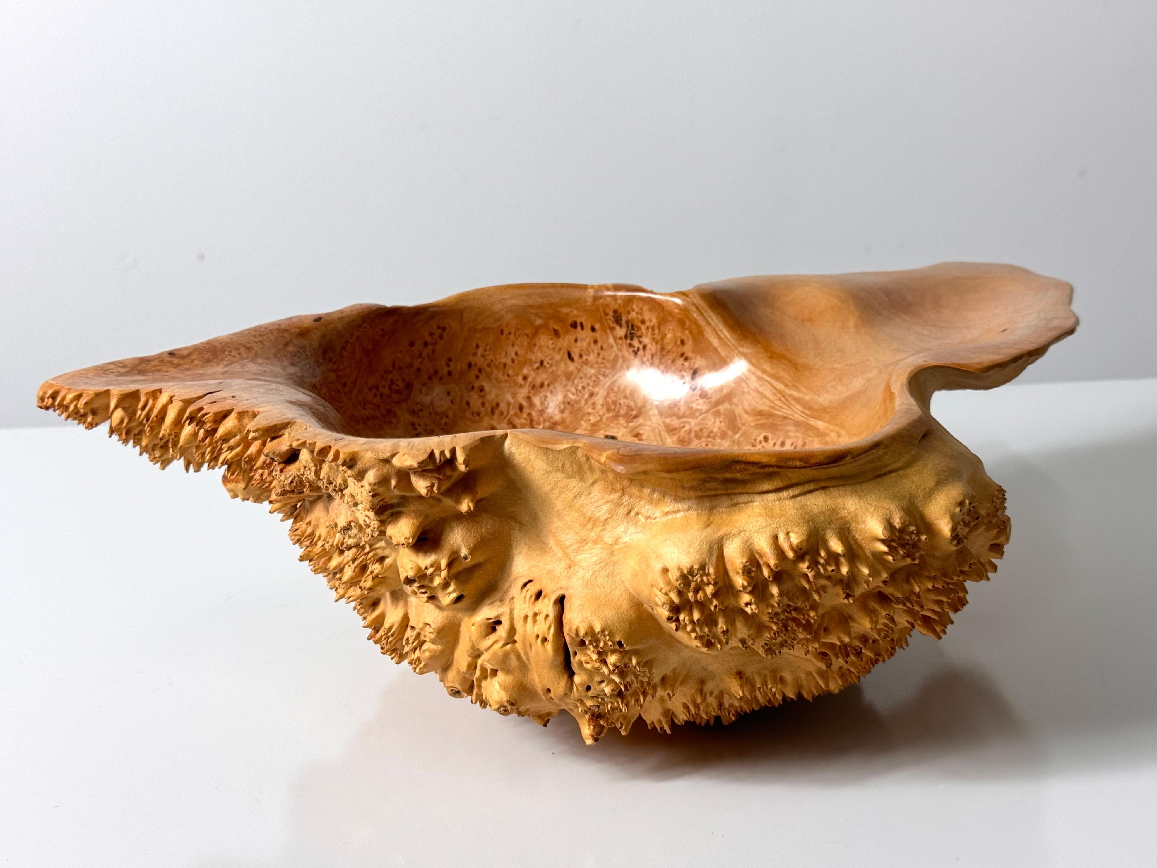 Bob Womack Live Edge Organic Maple Burl Decorative Freeform Centerpiece Bowl In Good Condition For Sale In Troy, MI