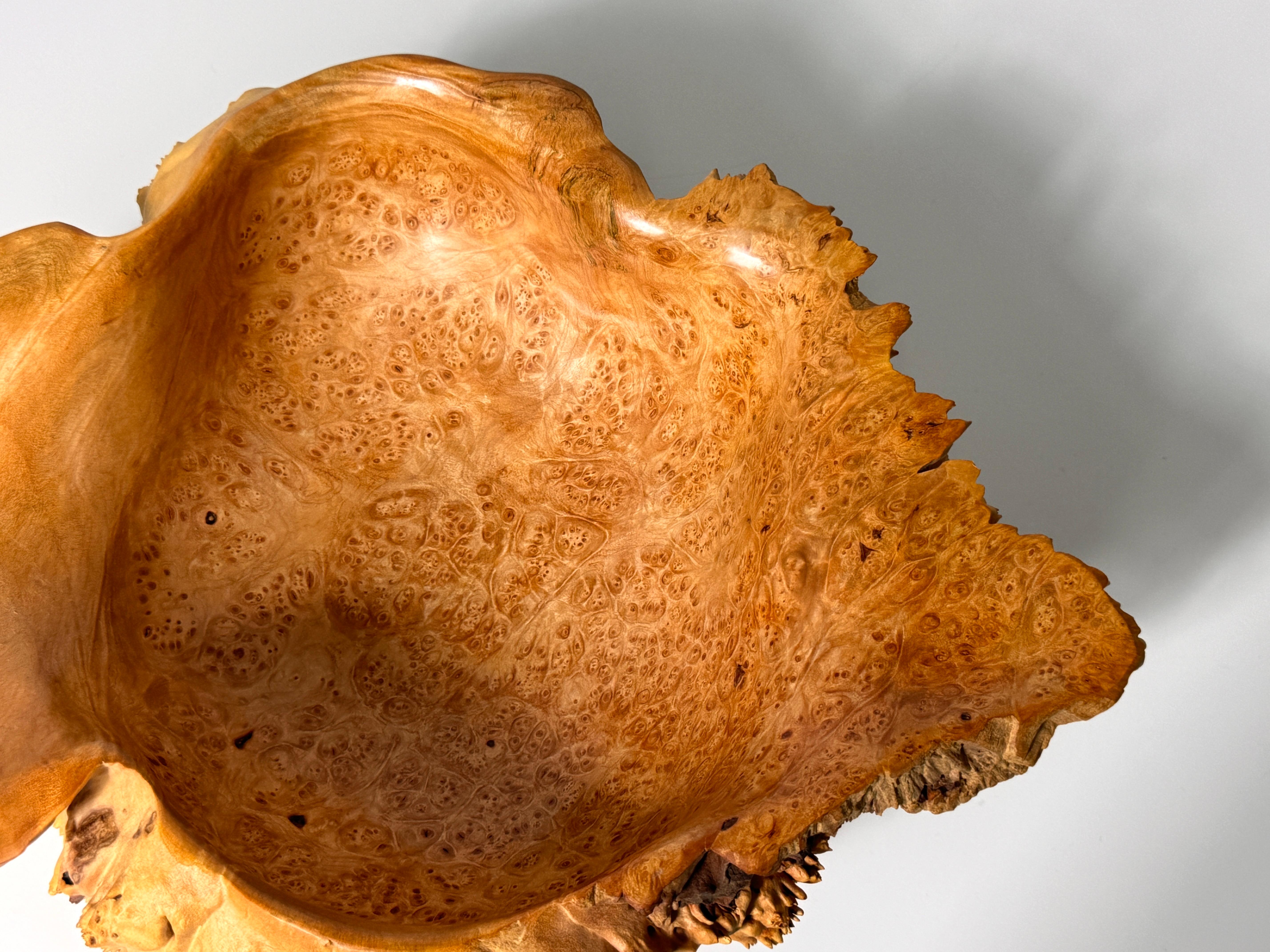 Bob Womack Live Edge Organic Maple Burl Decorative Freeform Centerpiece Bowl For Sale 1
