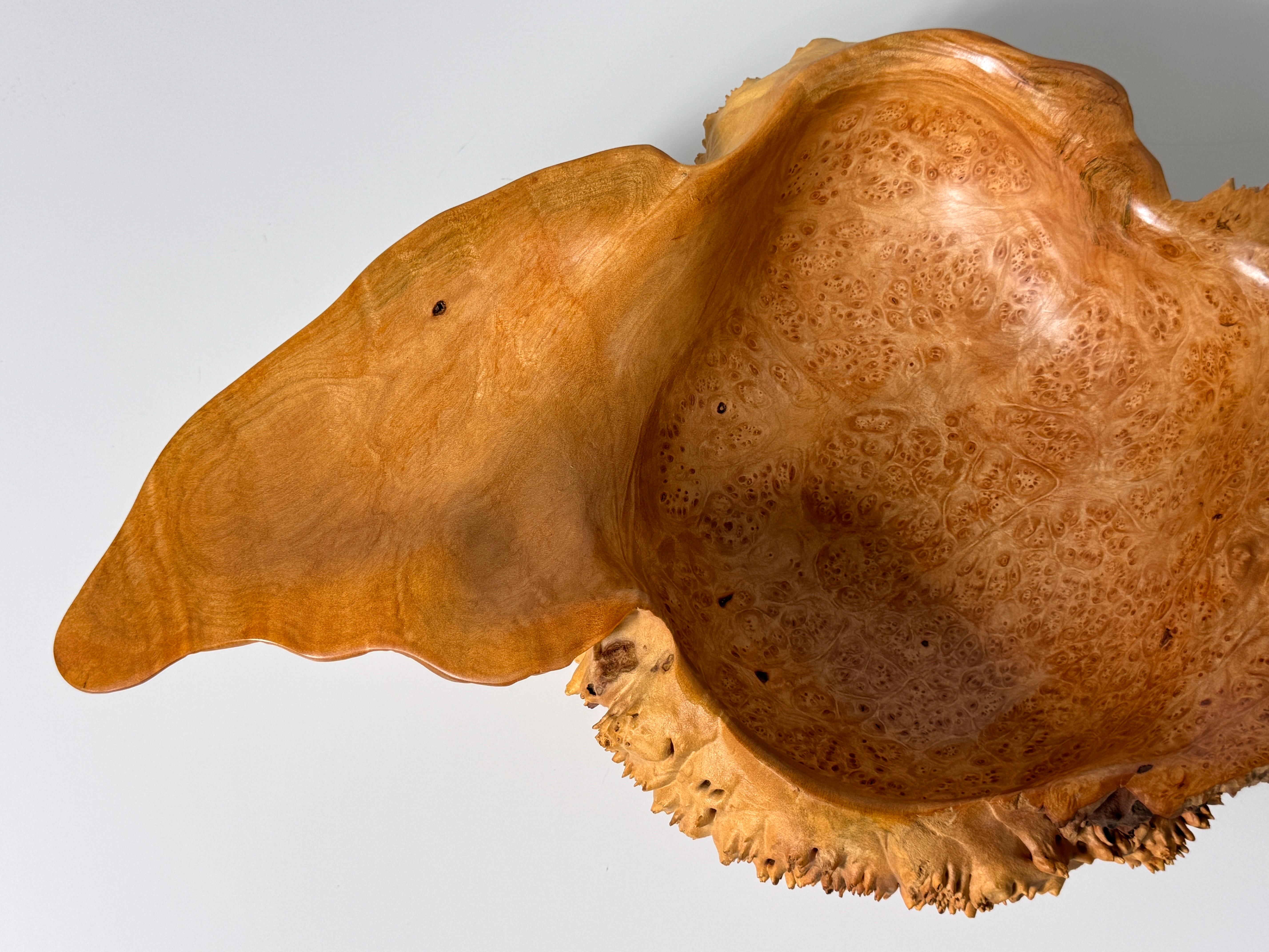 Bob Womack Live Edge Organic Maple Burl Decorative Freeform Centerpiece Bowl For Sale 2