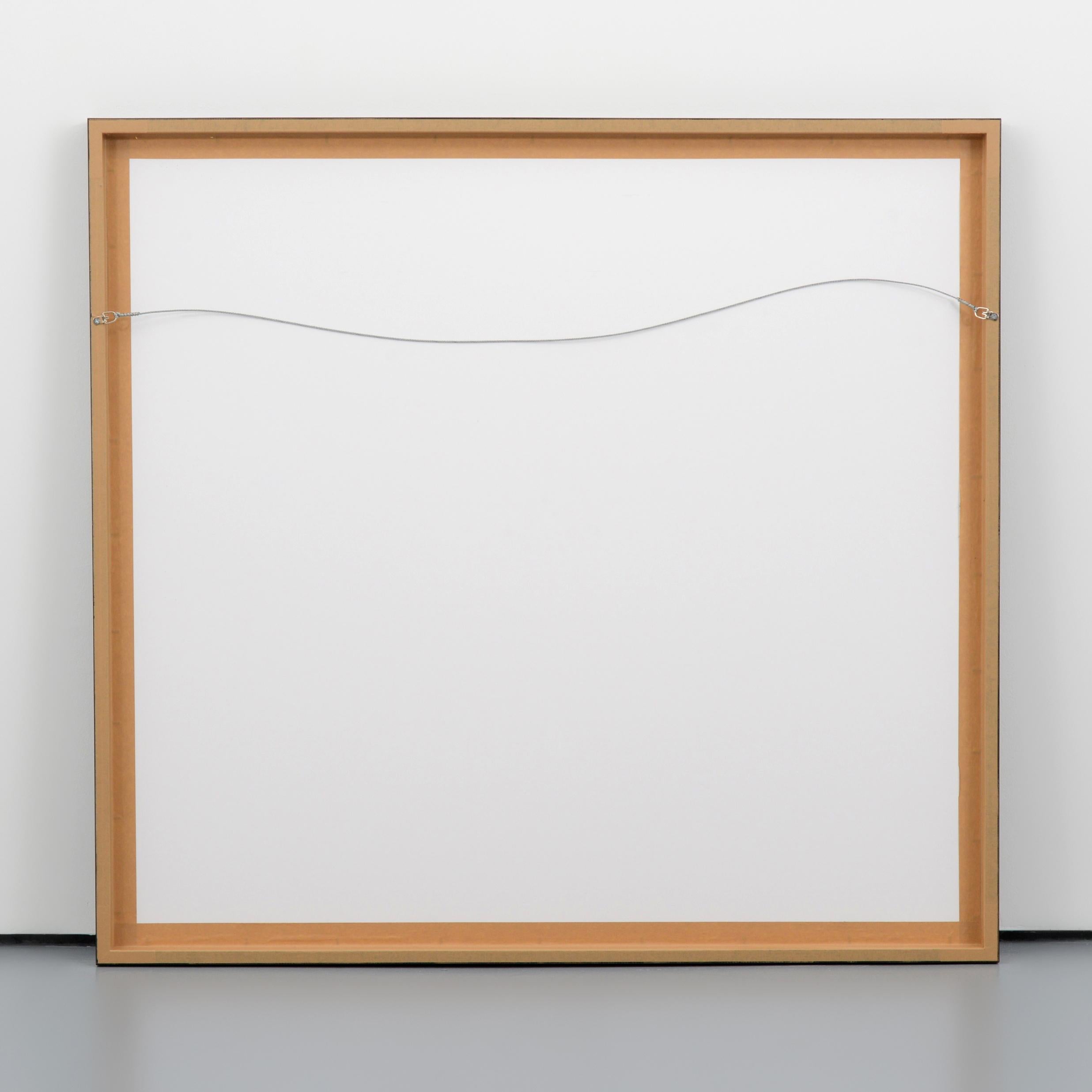 Bobby Grossman CORNFLAKES Lambda C-Print im Angebot 3