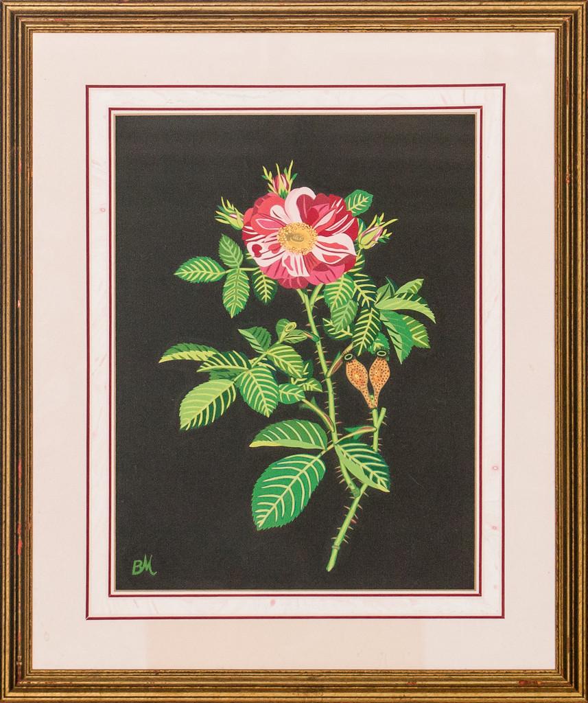 "Decoupage Flower" - Print by Bobby Mitchell