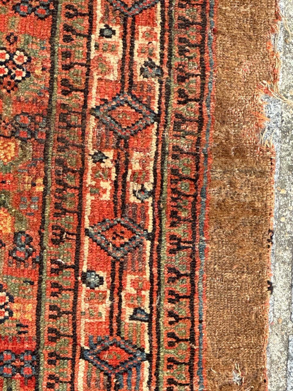 Wool Bobyrug’s pretty 19th century serab runner fragment For Sale