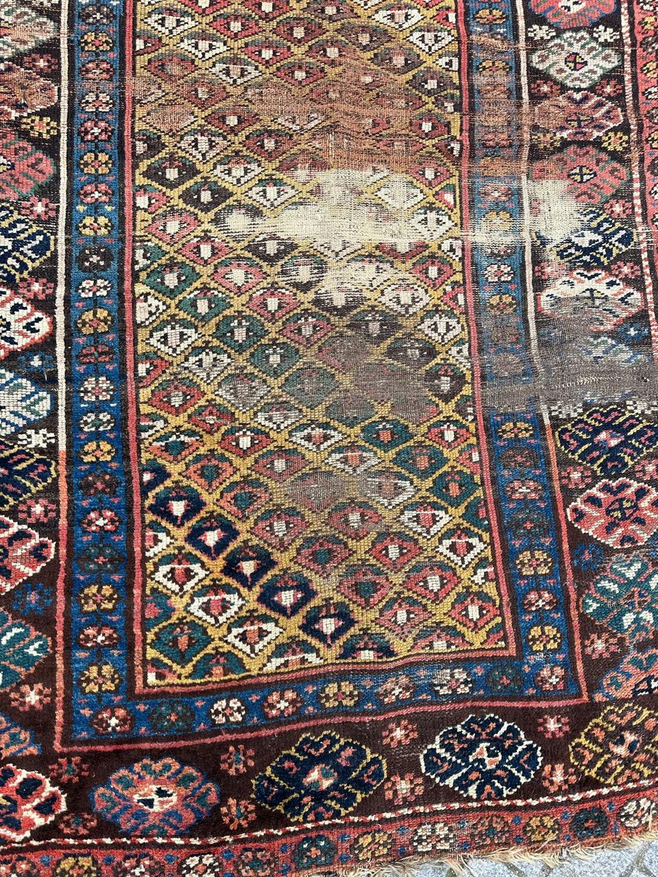 Schöner kurdischer Teppich aus dem 19. Jahrhundert mit schönem Stammesmuster und schönen natürlichen Farben mit einem gelben Feld mit einem sich wiederholenden Muster in Rot, Braun und Grün und blauen, braunen und roten Bordüren. Vollständig