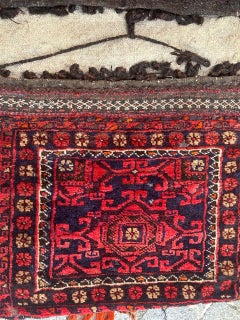 pretty mid century Turkmen chuval, horse cover, rug